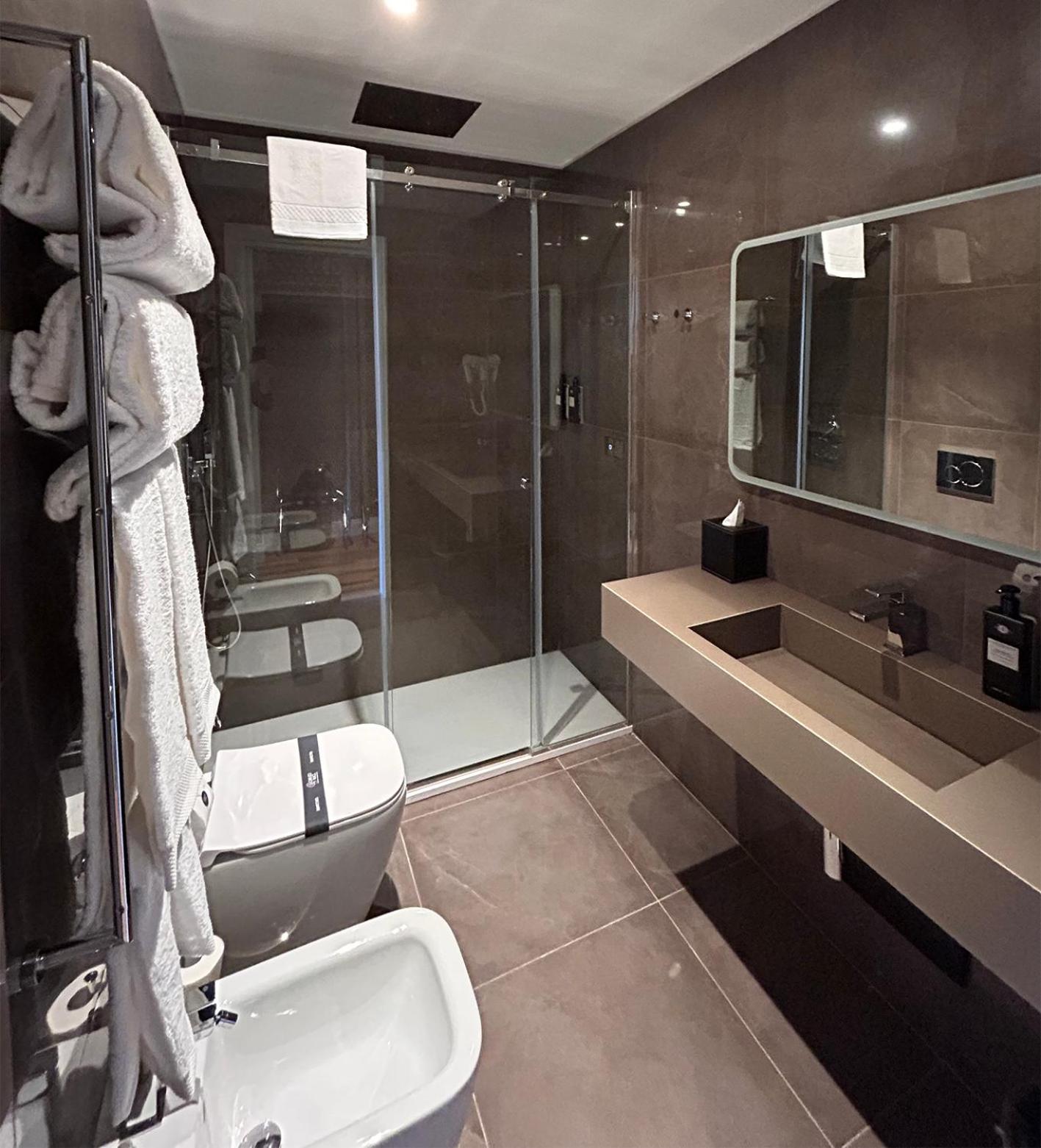 Superior Double or Twin Room with Terrace