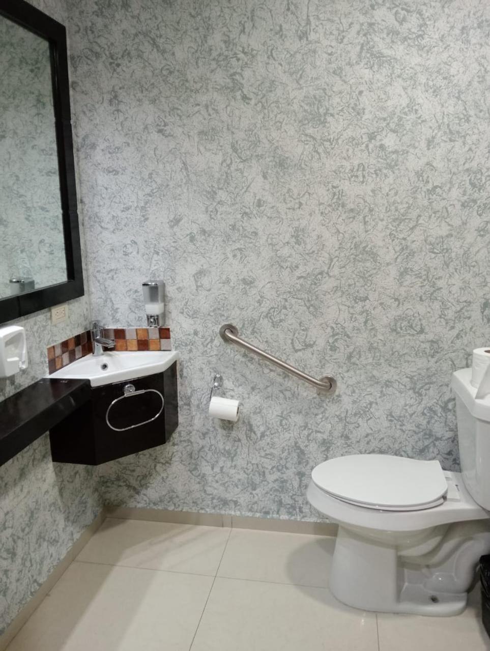 1 King Bed, Mobility Accessible Suite, Roll-In Shower,, Non-Smoking - Photo 6