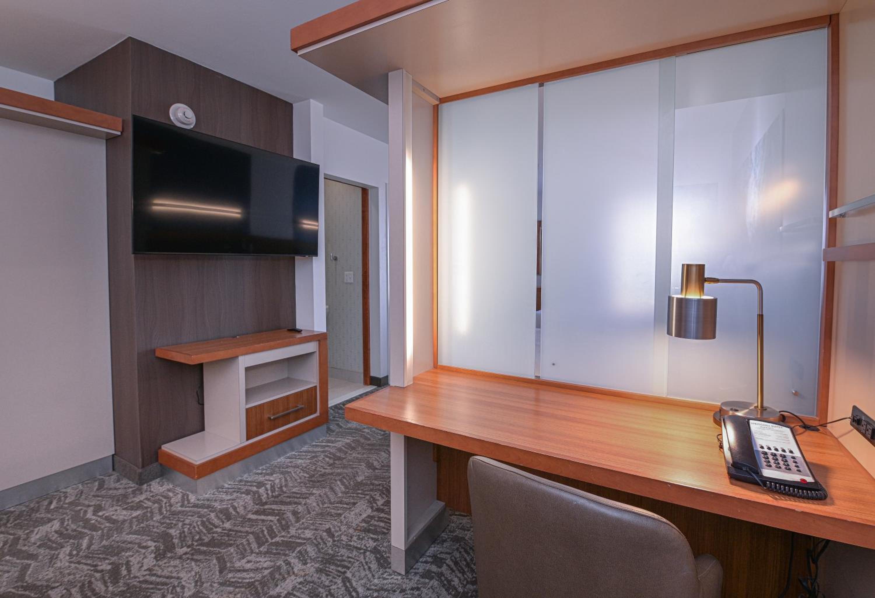Queen Studio with Sofa Bed and Roll-in Shower - Mobility and Hearing Accessible photo 1