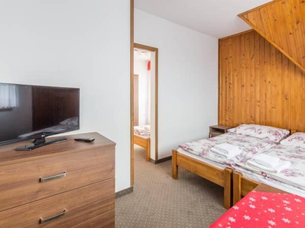 Triple Room with Mountain View photo 2