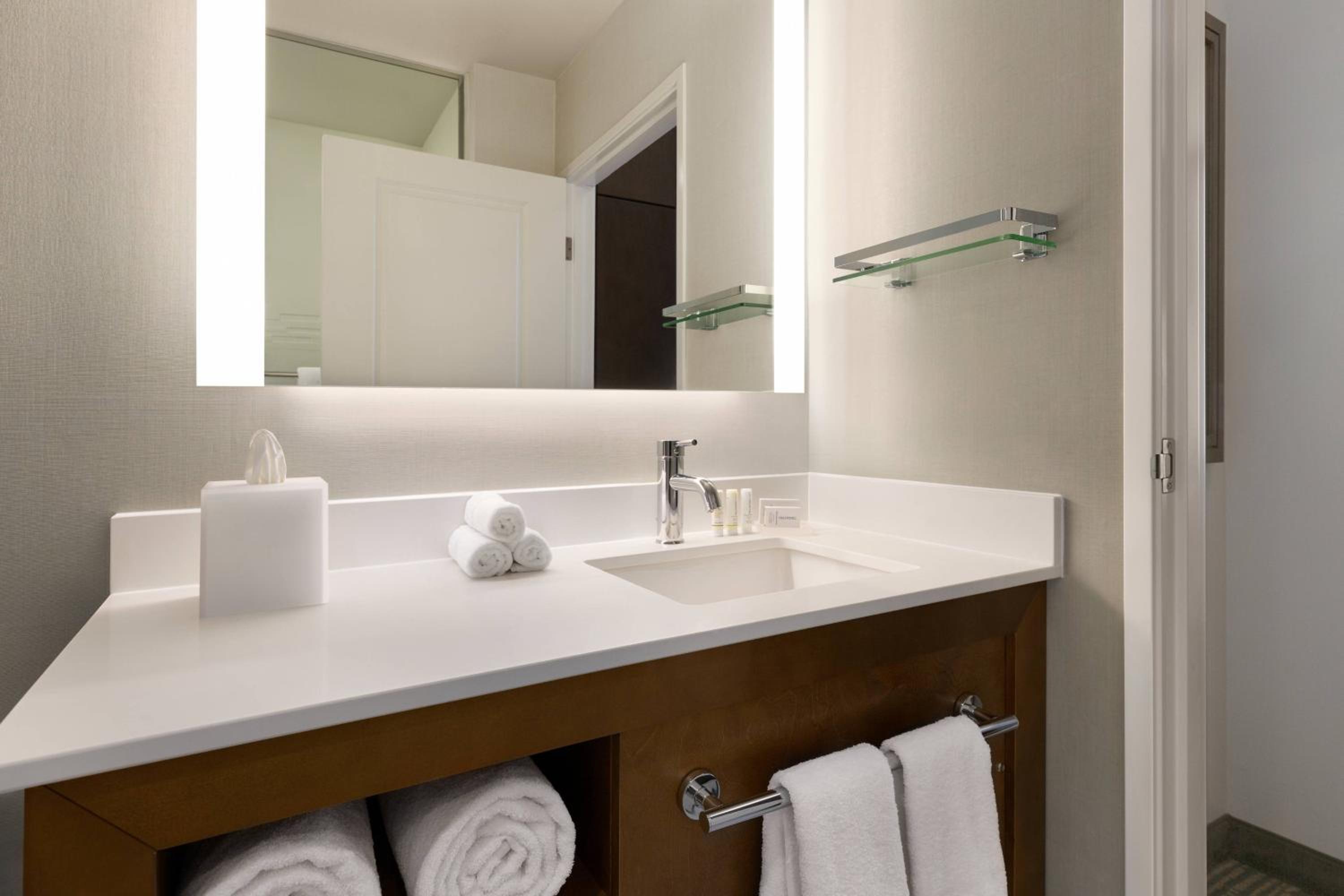 Larger Two-Queen Suite with City View - Photo 2