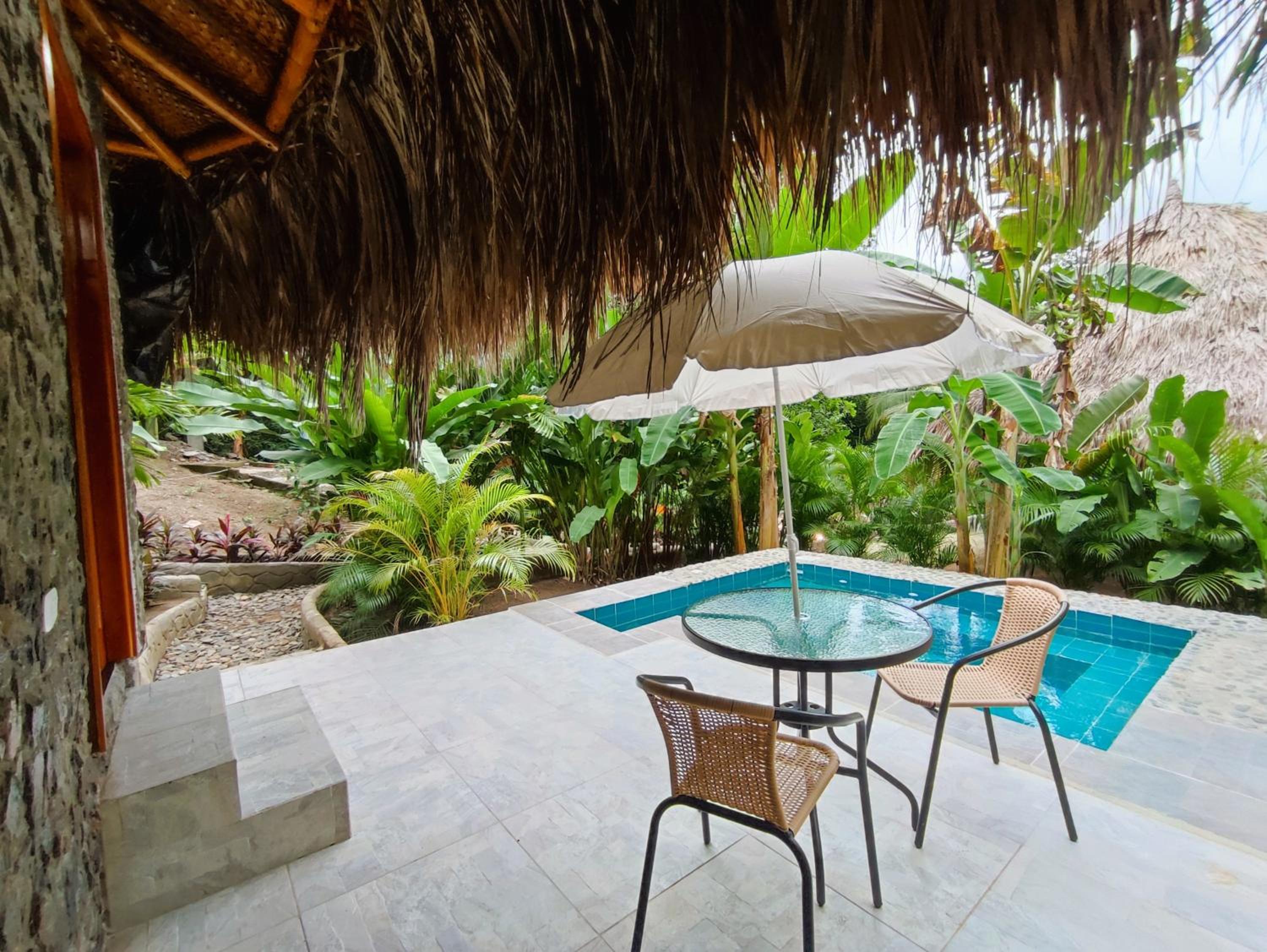 Double Room with Pool View photo 3