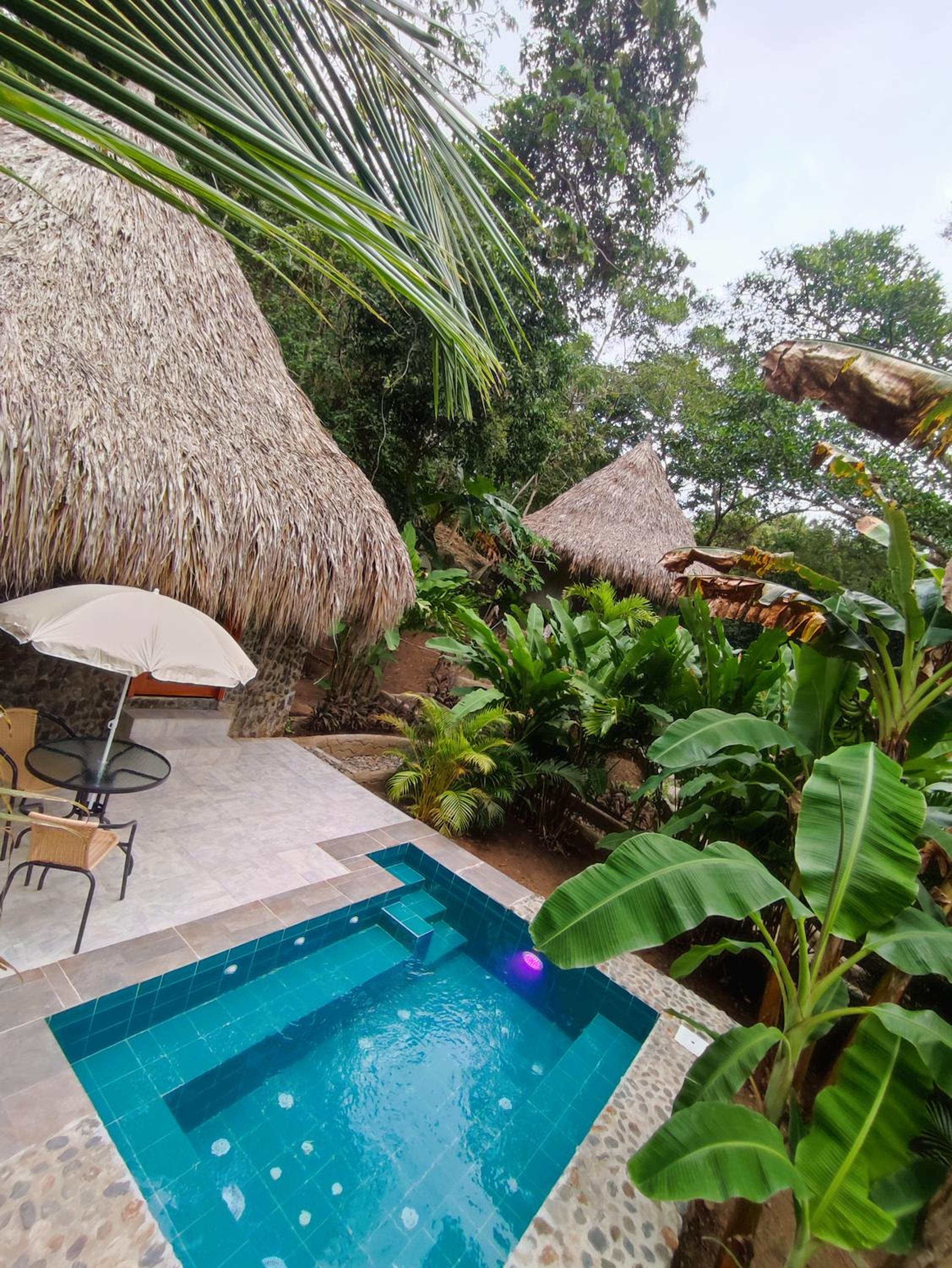 Double Room with Pool View photo 2