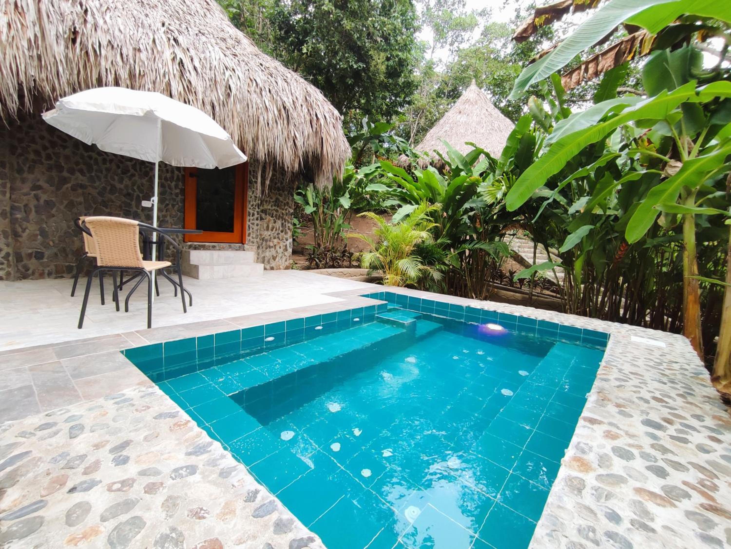 Double Room with Pool View photo 1