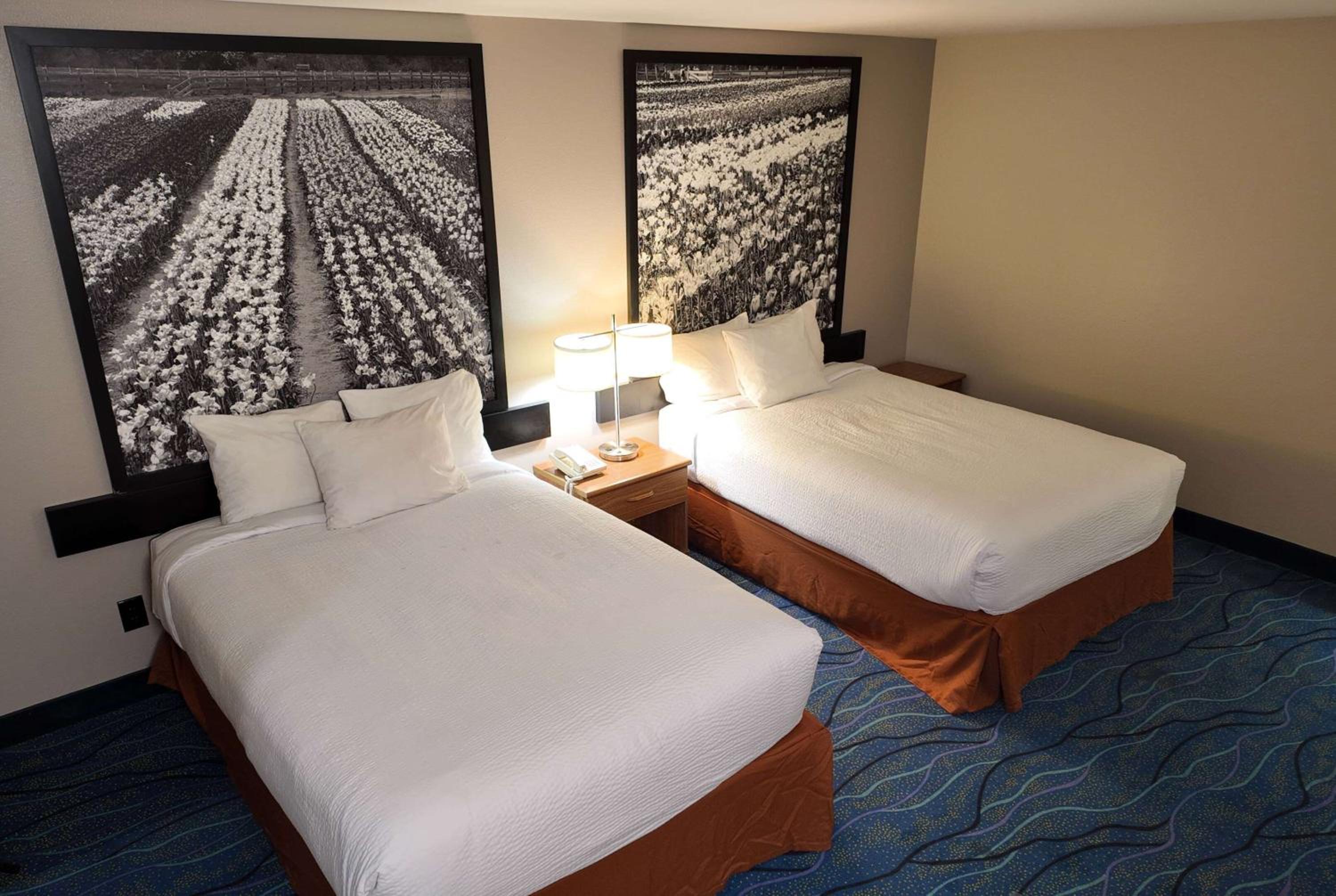 Deluxe Double Room with Two Double Beds - Non-Smoking photo 1