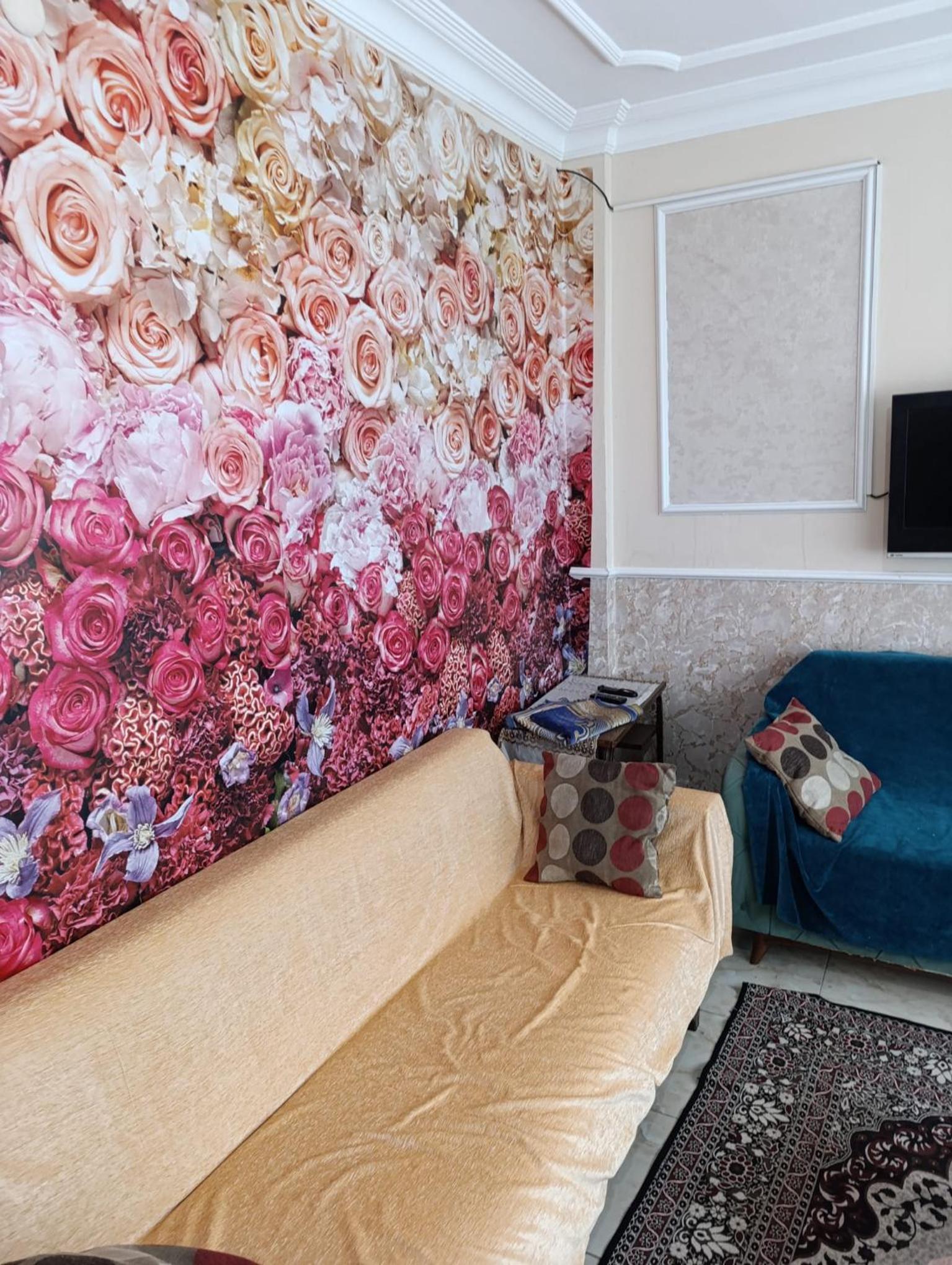 Classic Apartment photo 3