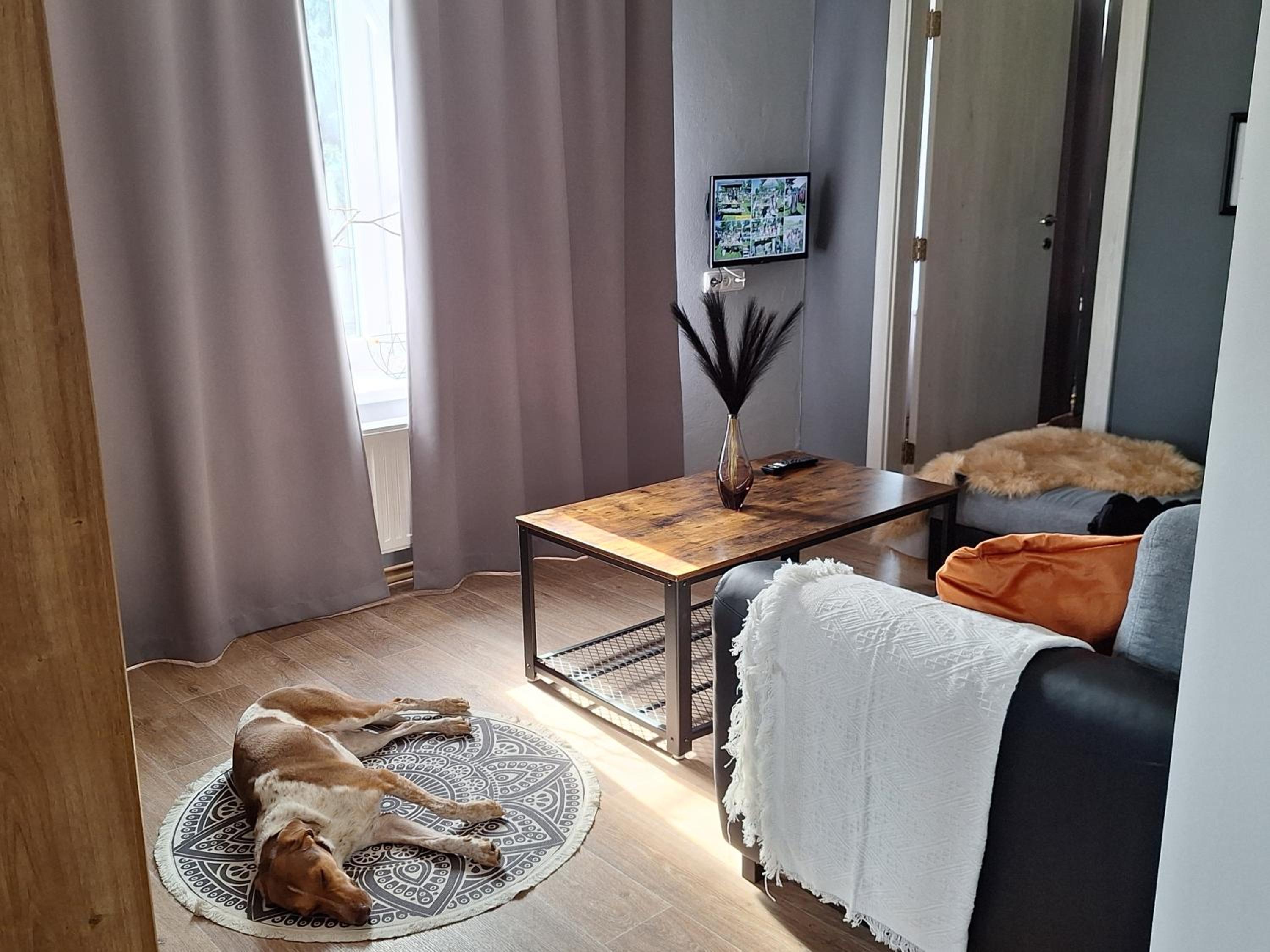 One-Bedroom Apartment with Balcony photo 1