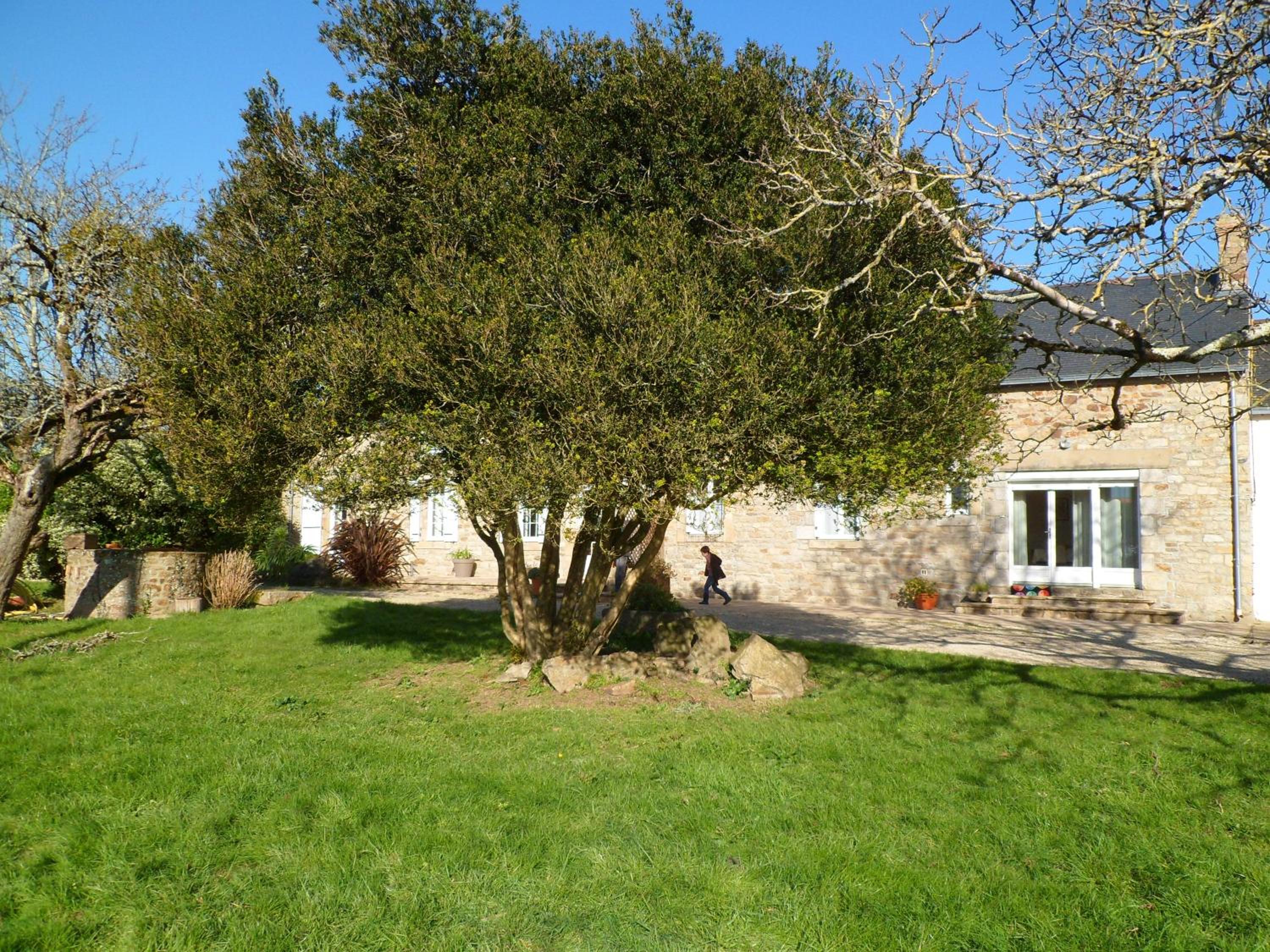 Villa with Garden View