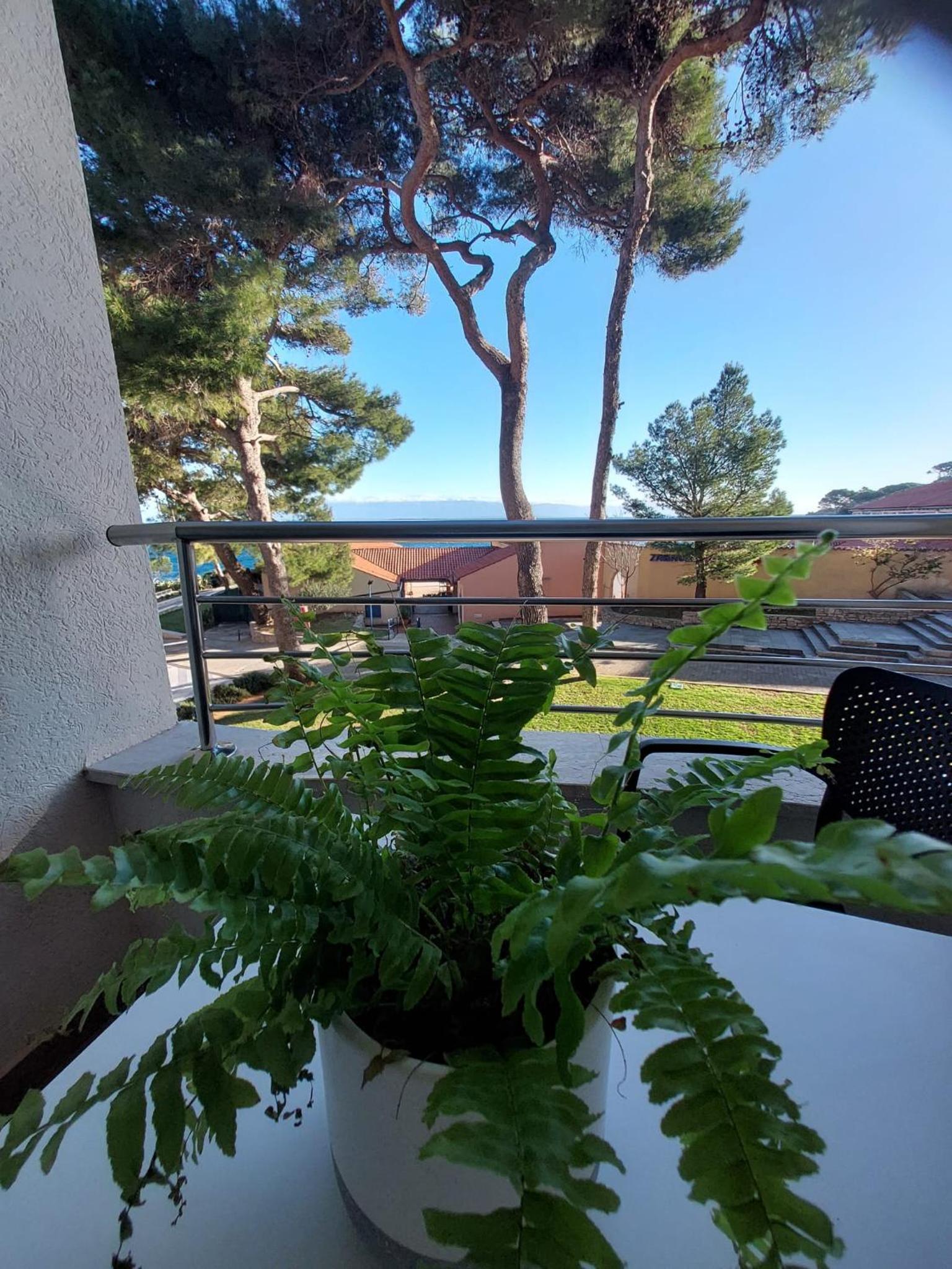 One-Bedroom Apartment with Balcony photo 3