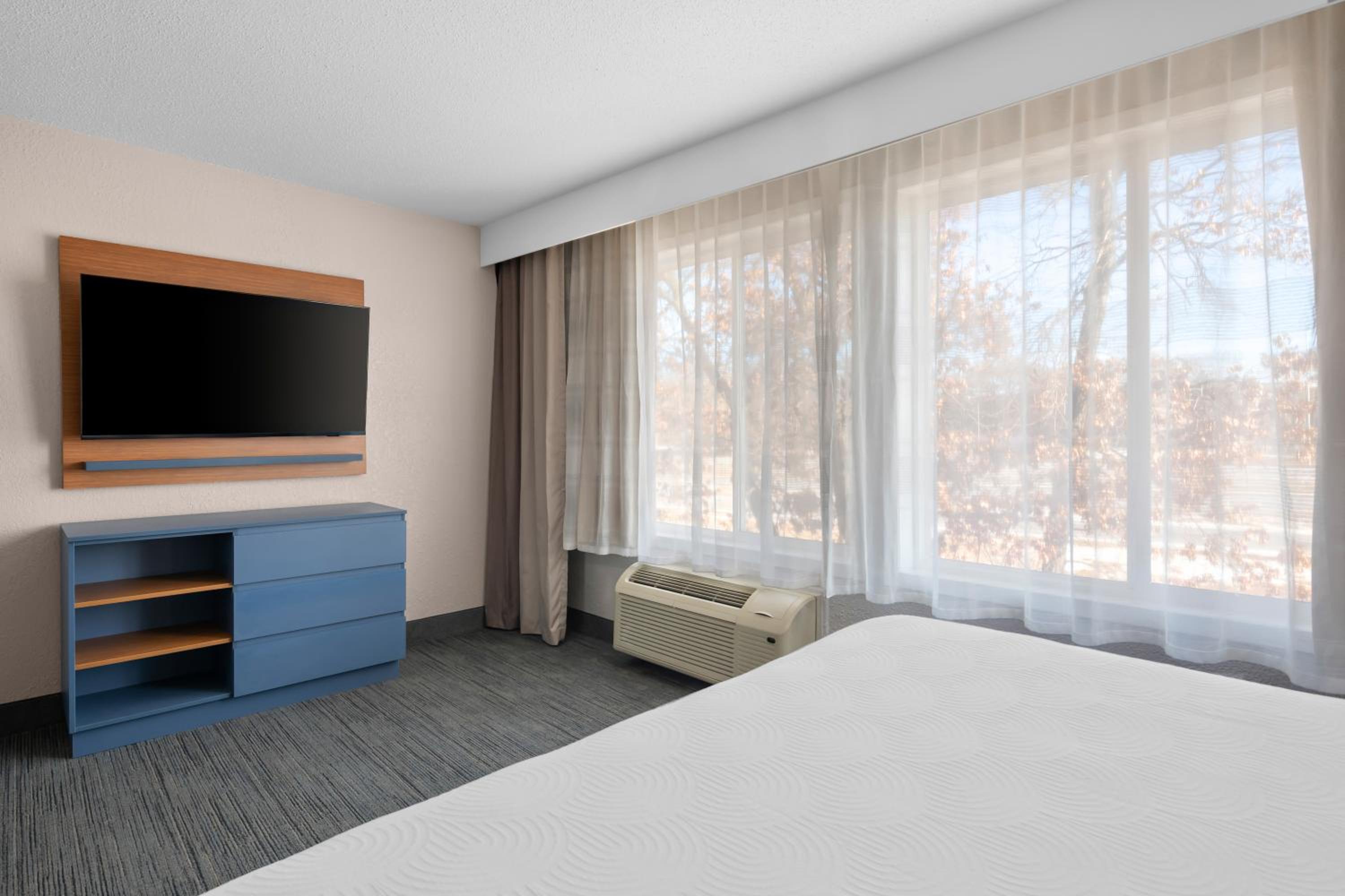 Efficiency King Suite with Sofa Bed - Non Smoking - Photo 3