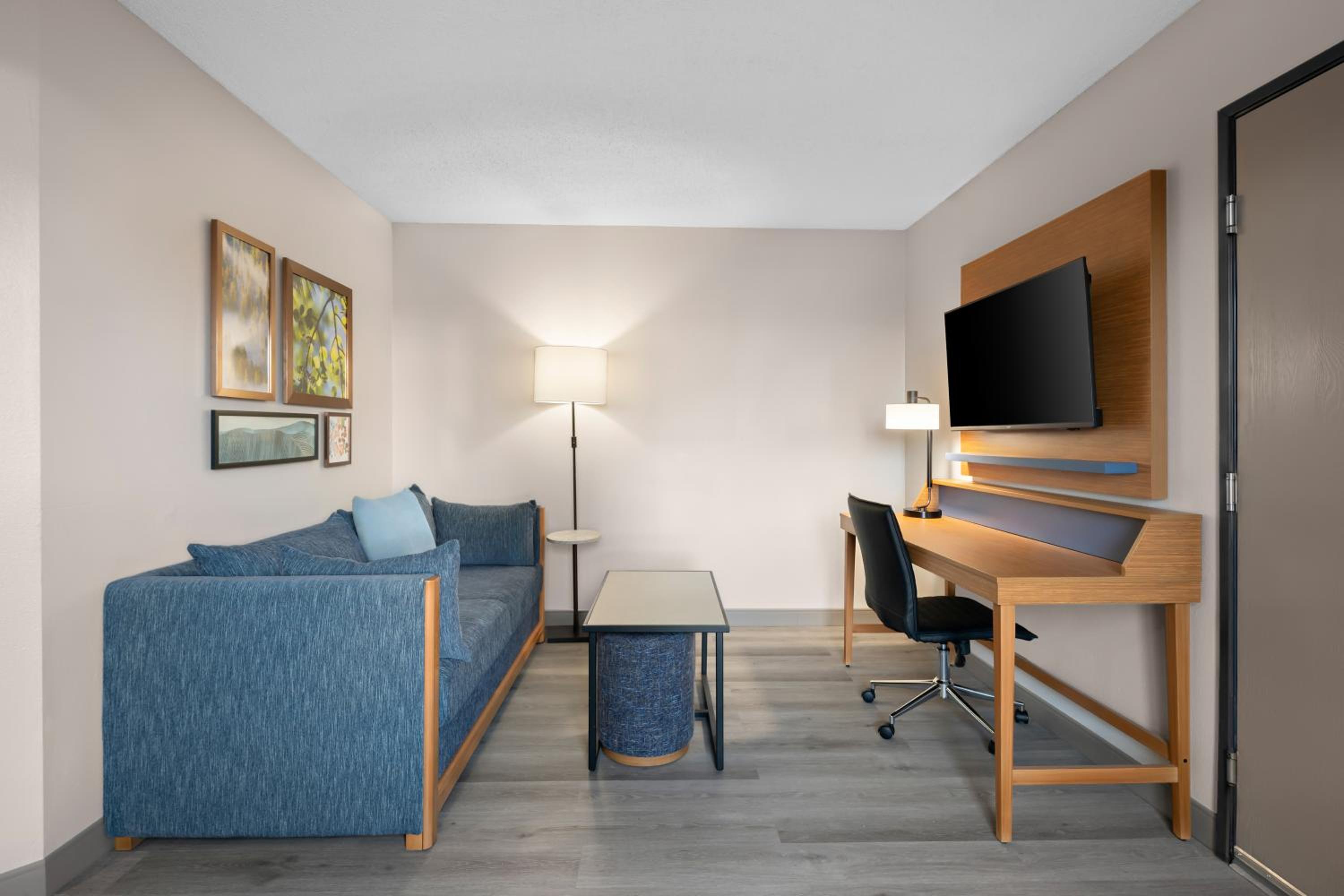 Efficiency King Suite with Sofa Bed - Non Smoking - Photo 4