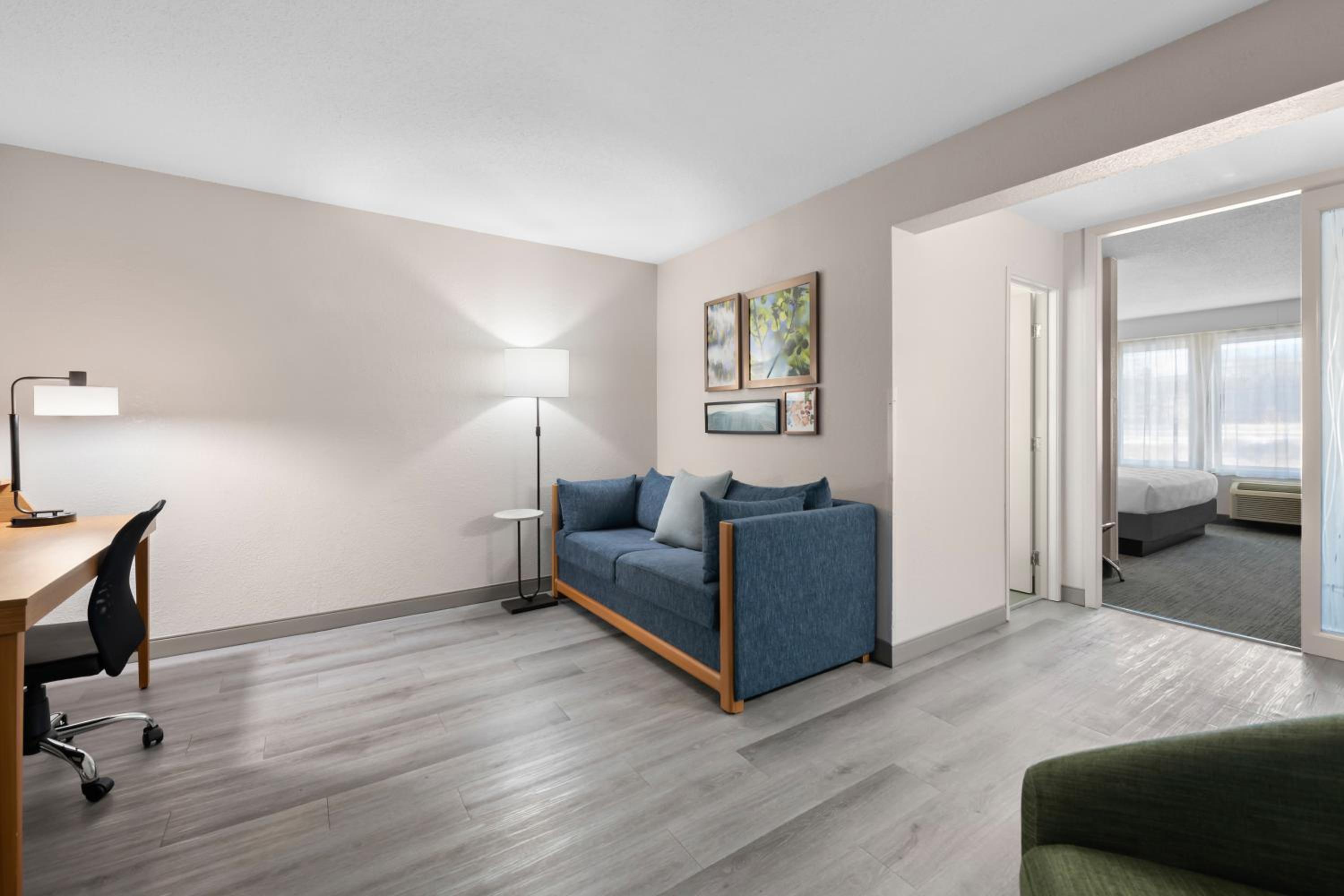 Efficiency King Suite with Sofa Bed - Non Smoking - Photo 5