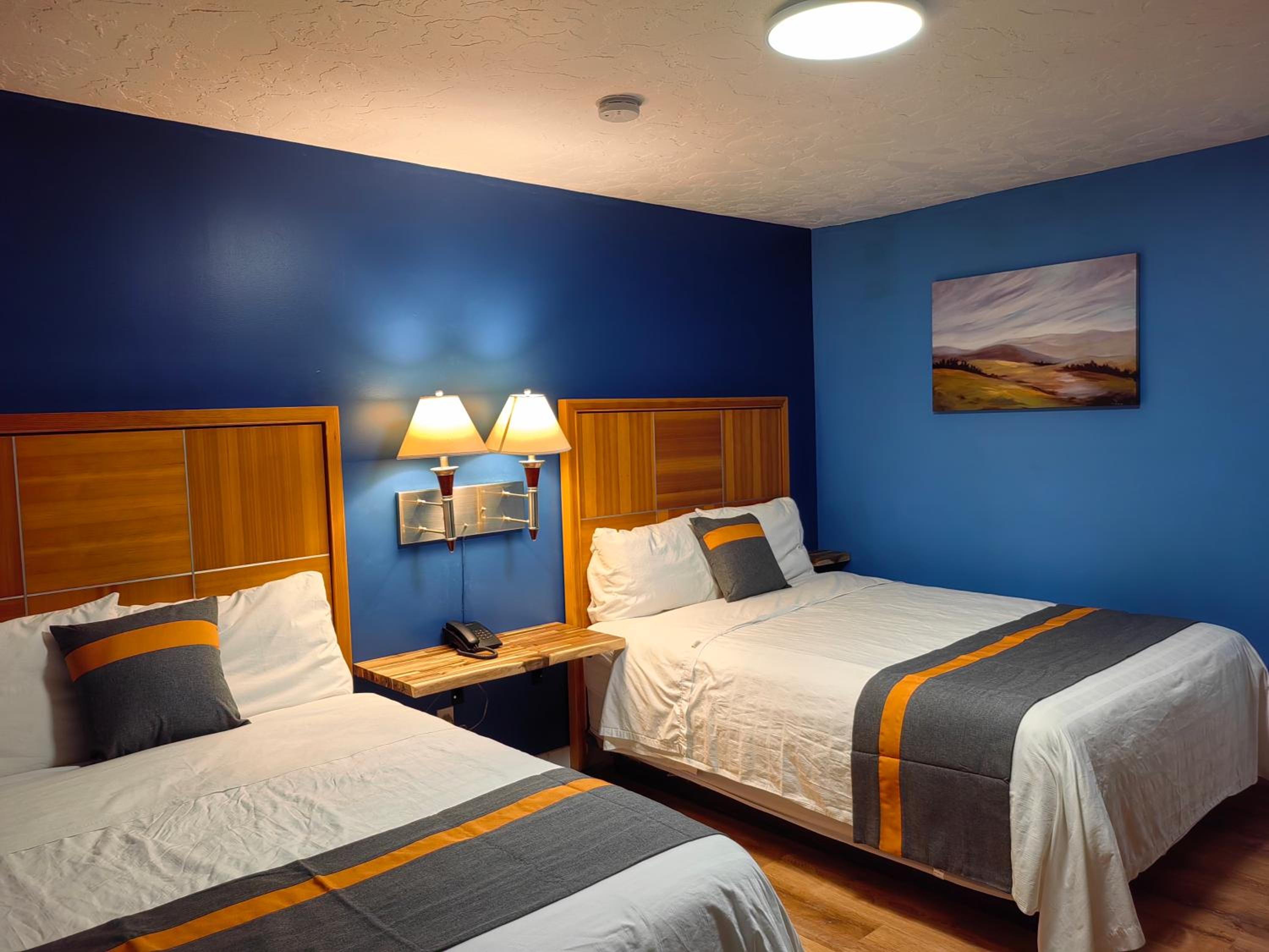 Deluxe Double or Twin Room photo 1
