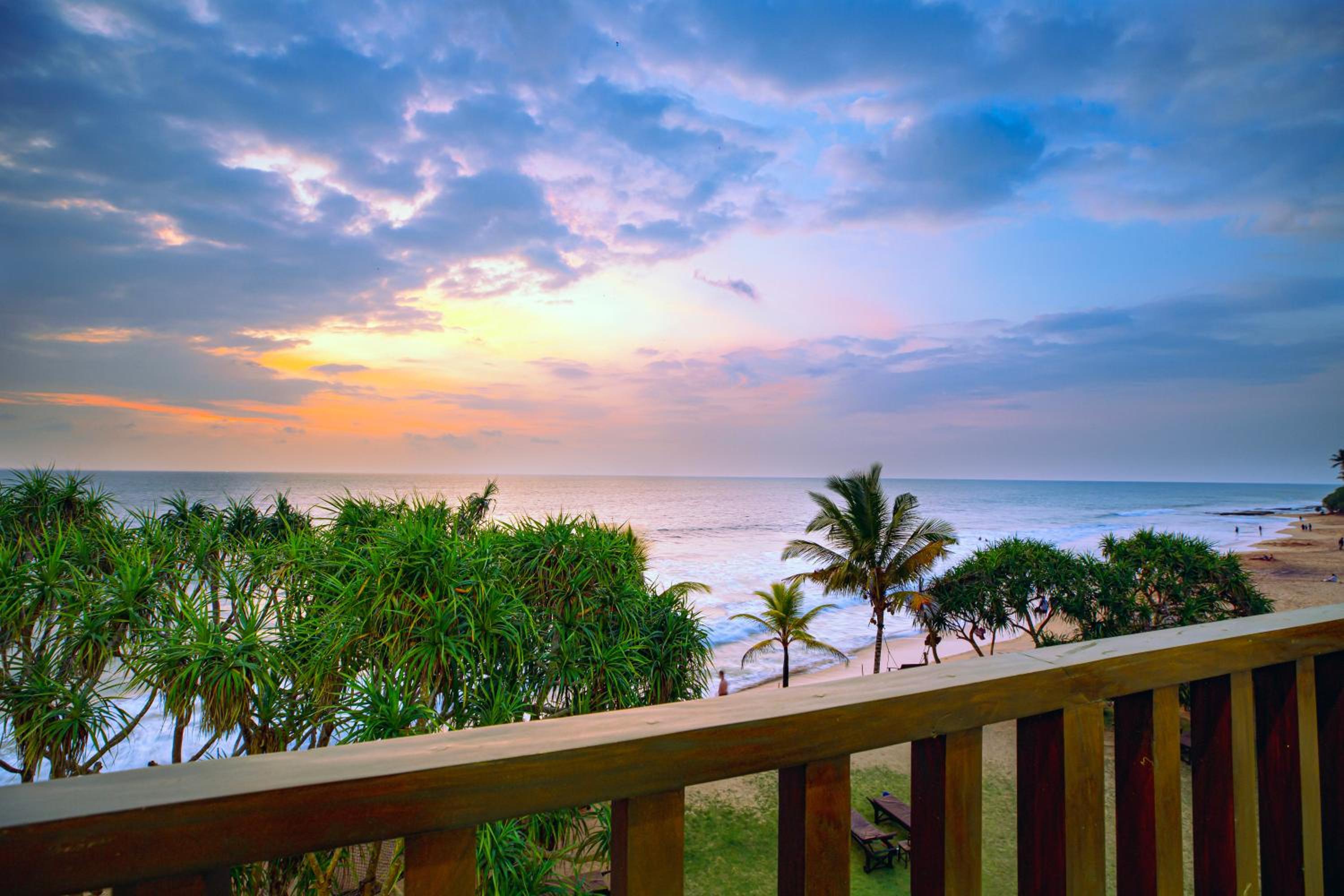 Deluxe Suite with Ocean View and Free Guided Tour to Turtle Hatchery photo 3