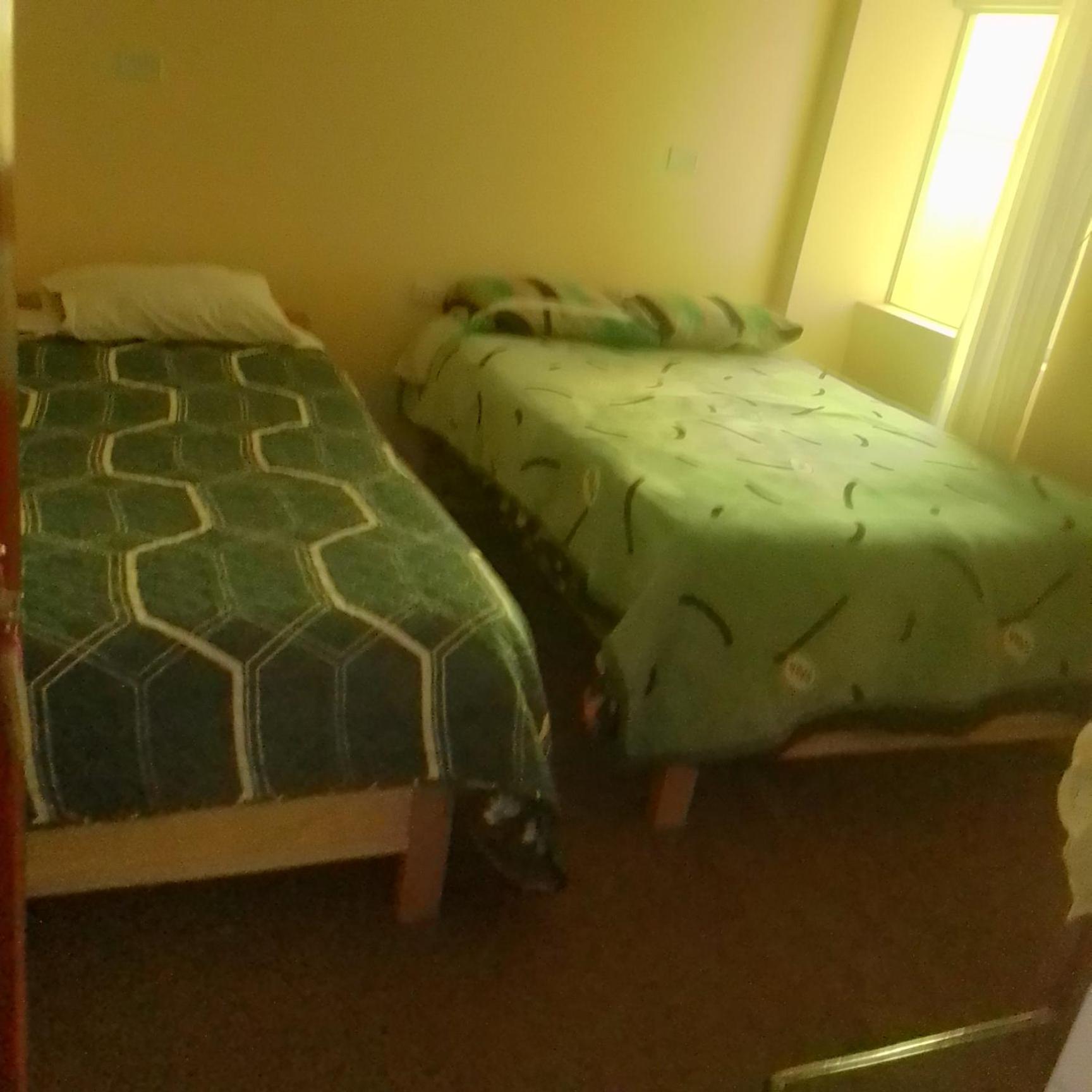 Twin Room photo 2