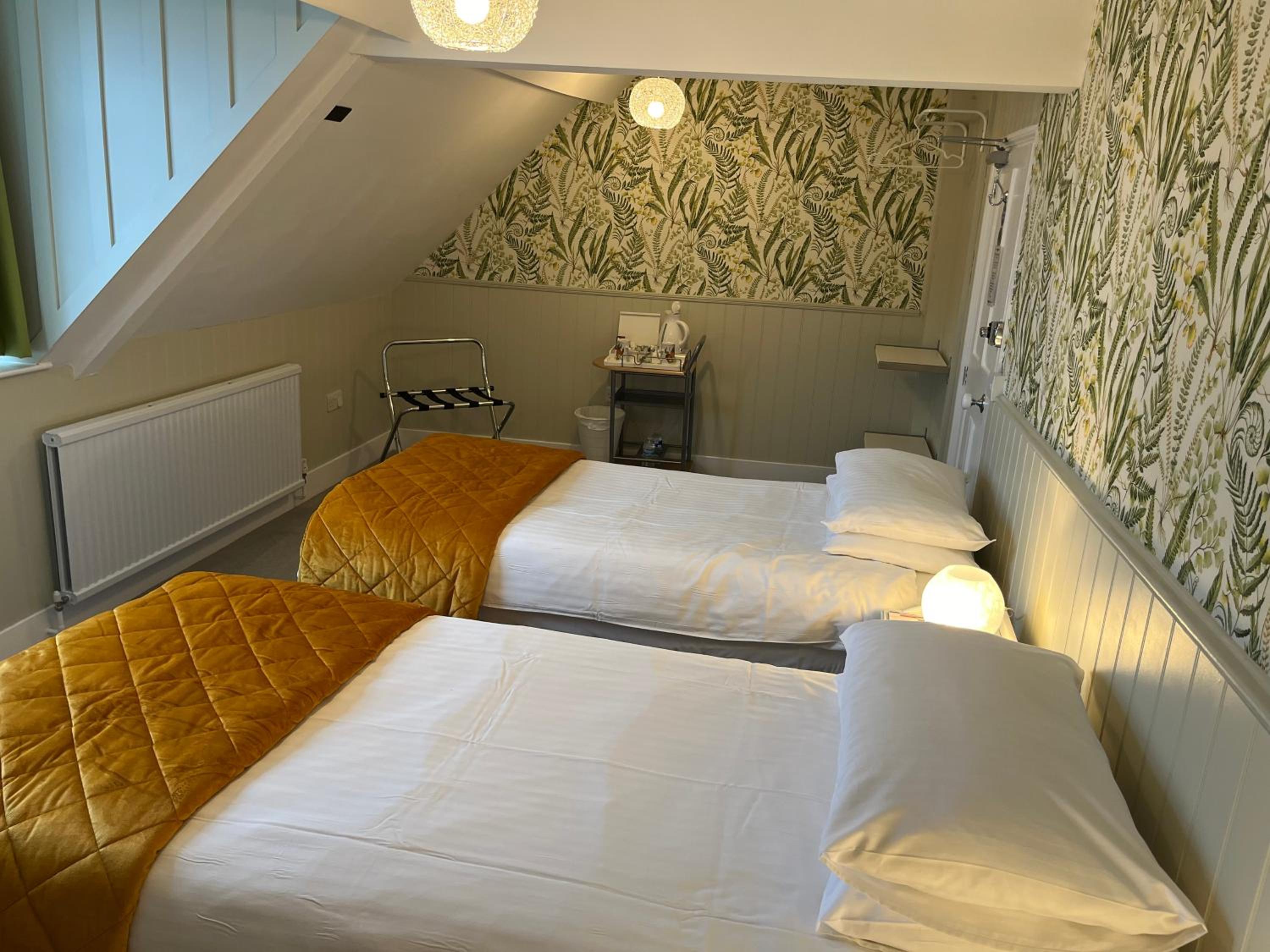 Deluxe Double or Twin Room photo 2