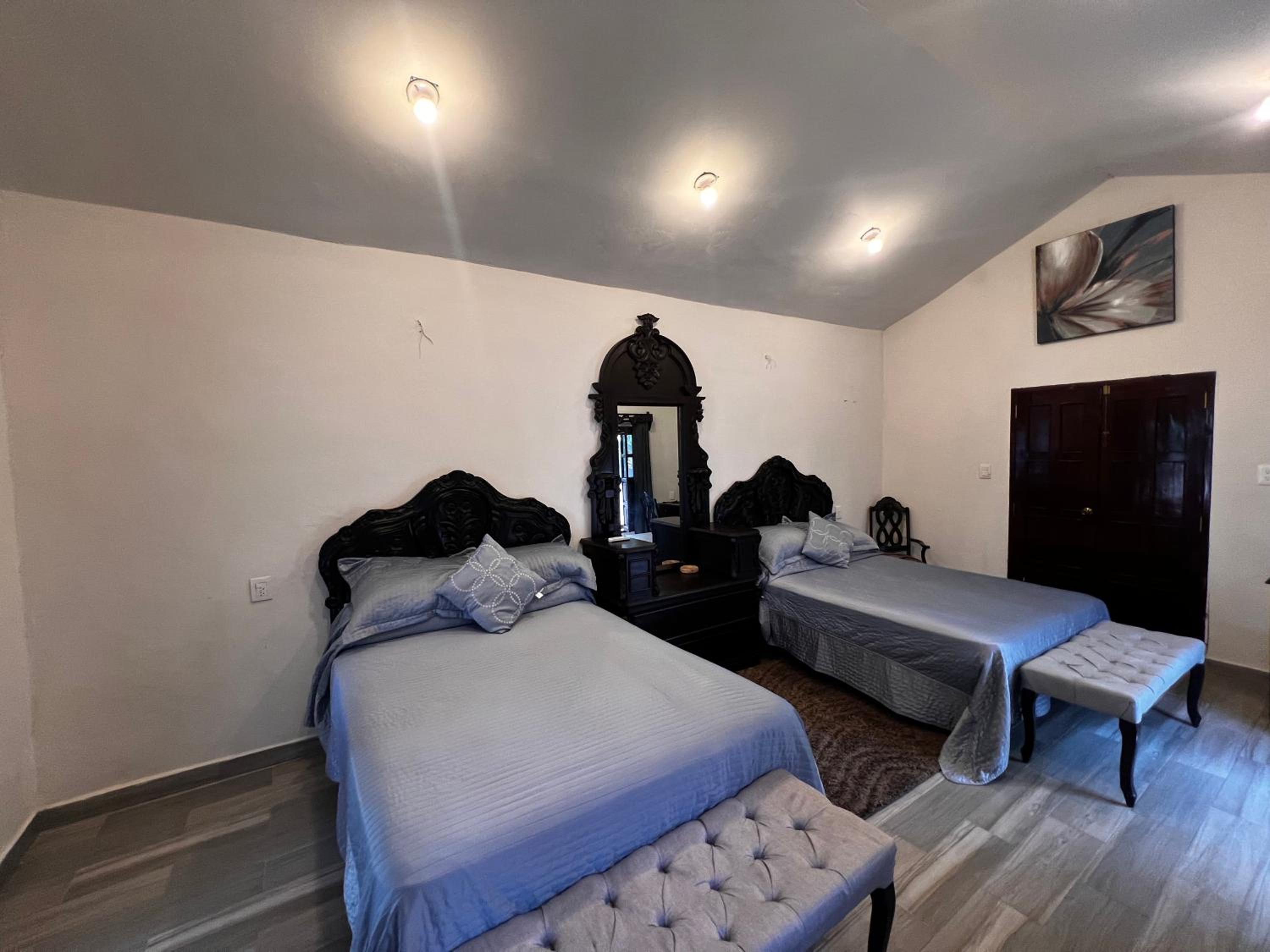 Deluxe Double or Twin Room with Garden View