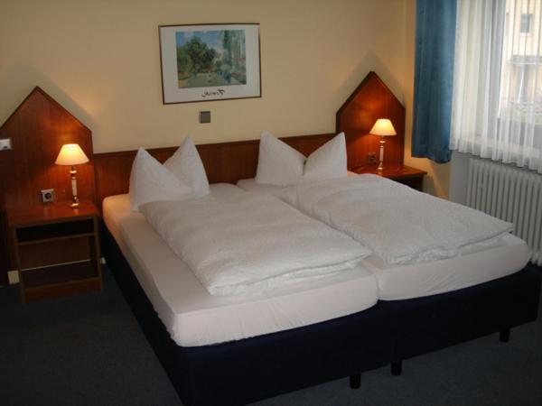 Double or Twin Room photo 1
