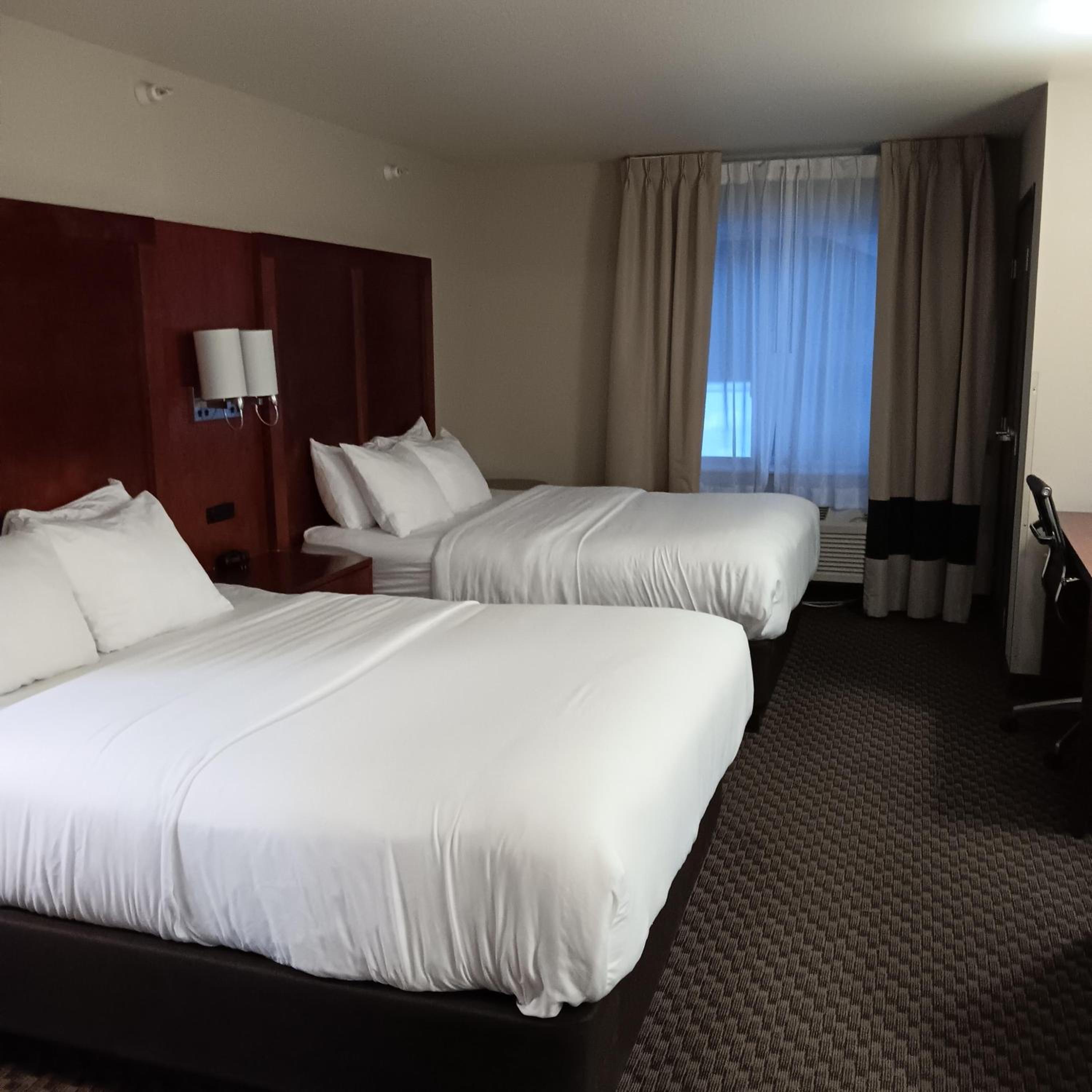 Queen Suite with Two Queen Beds and Sofa Bed - Non-Smoking photo 2
