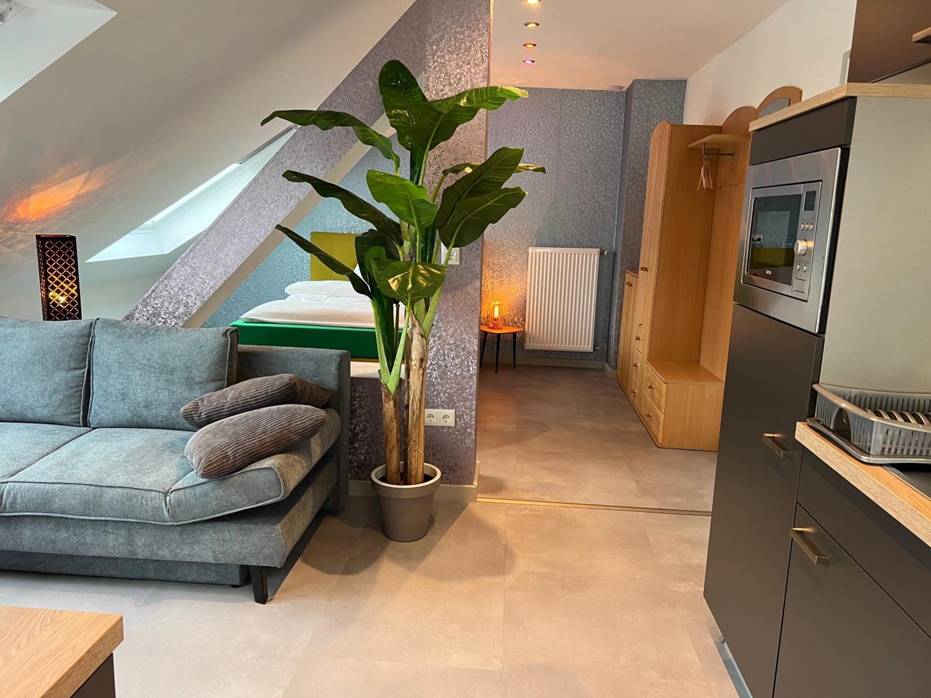 Studio Apartment with Queen Bed photo 2