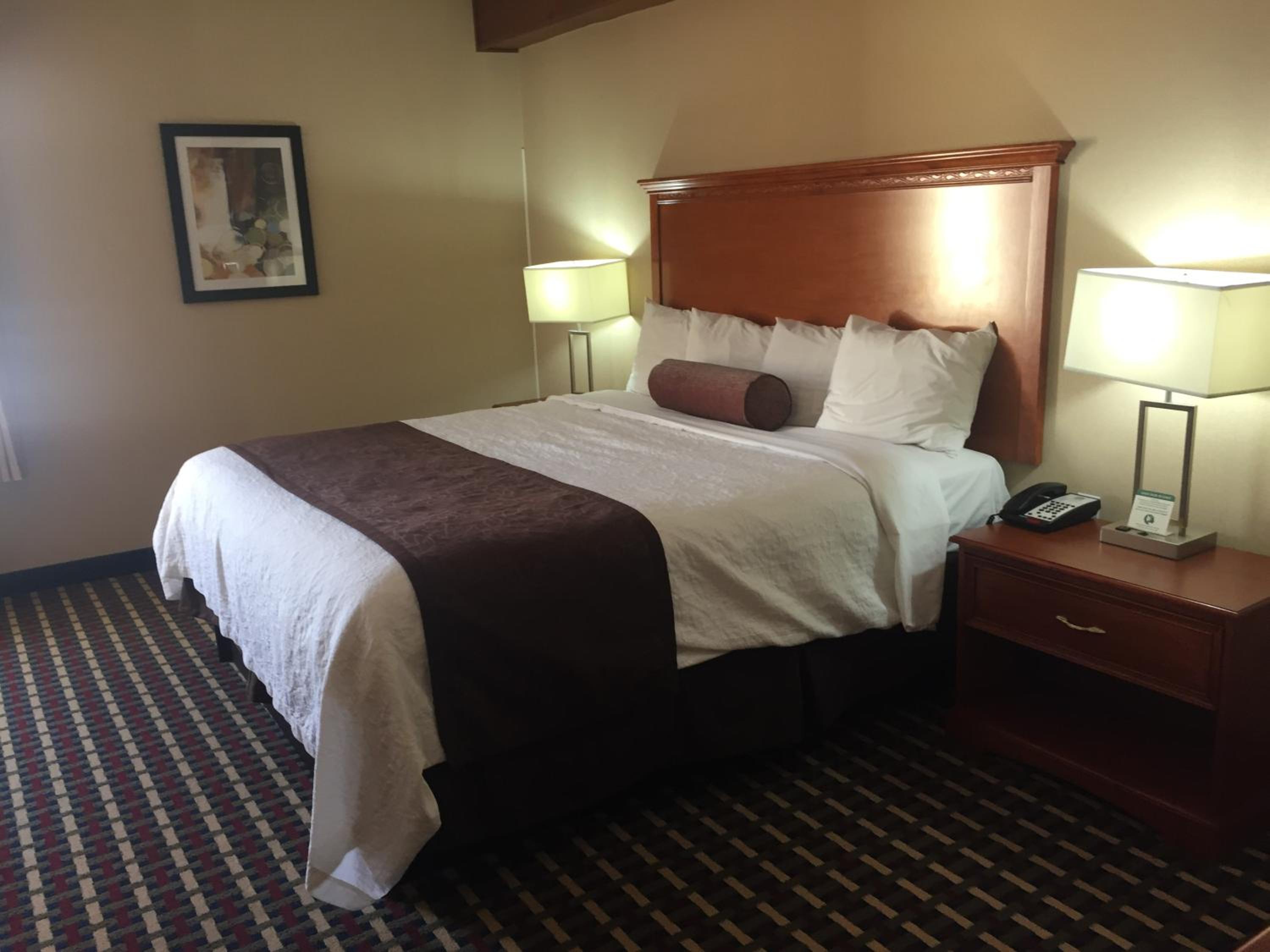 King Room - Non-Smoking photo 3
