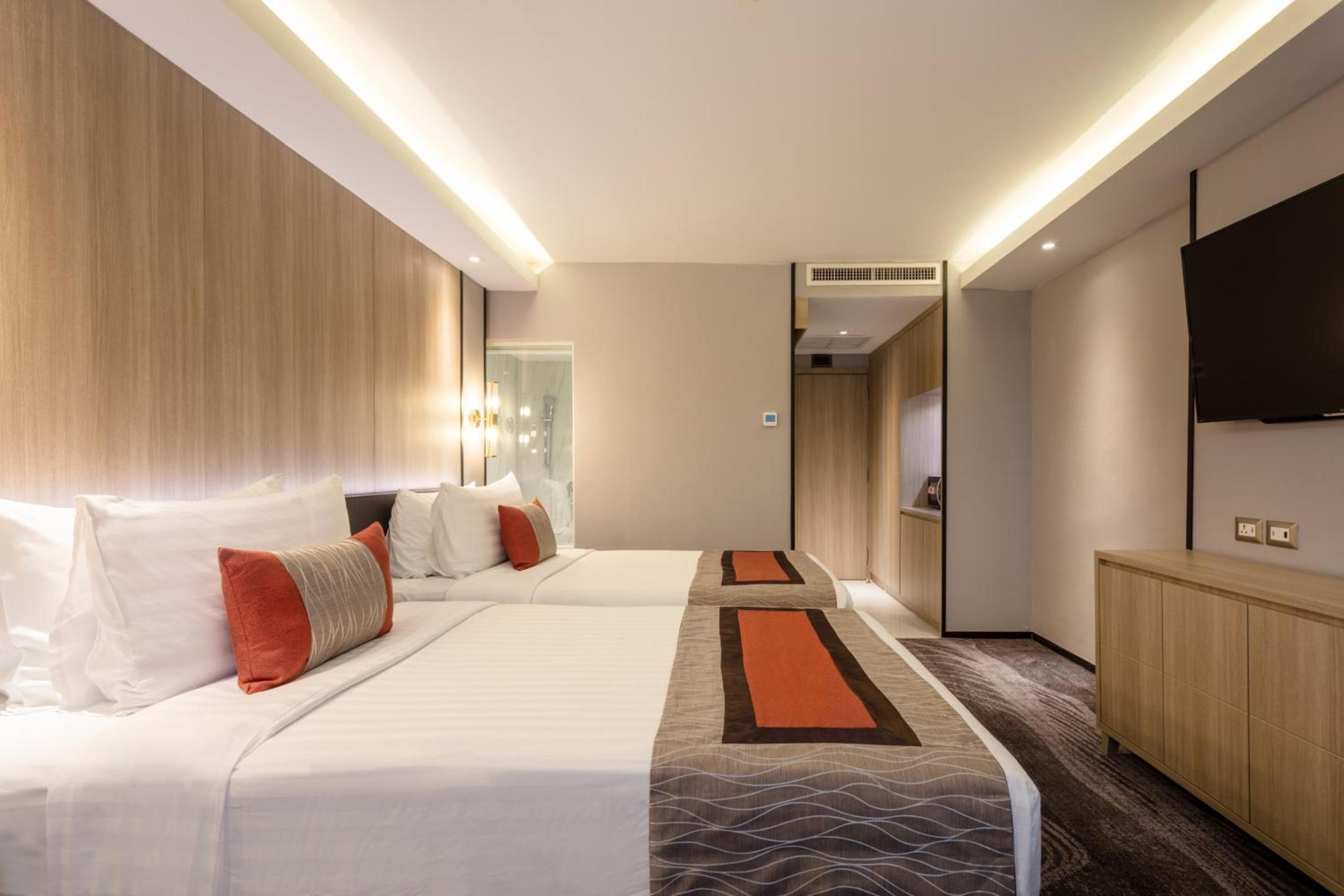 Deluxe Double or Twin Room photo 1