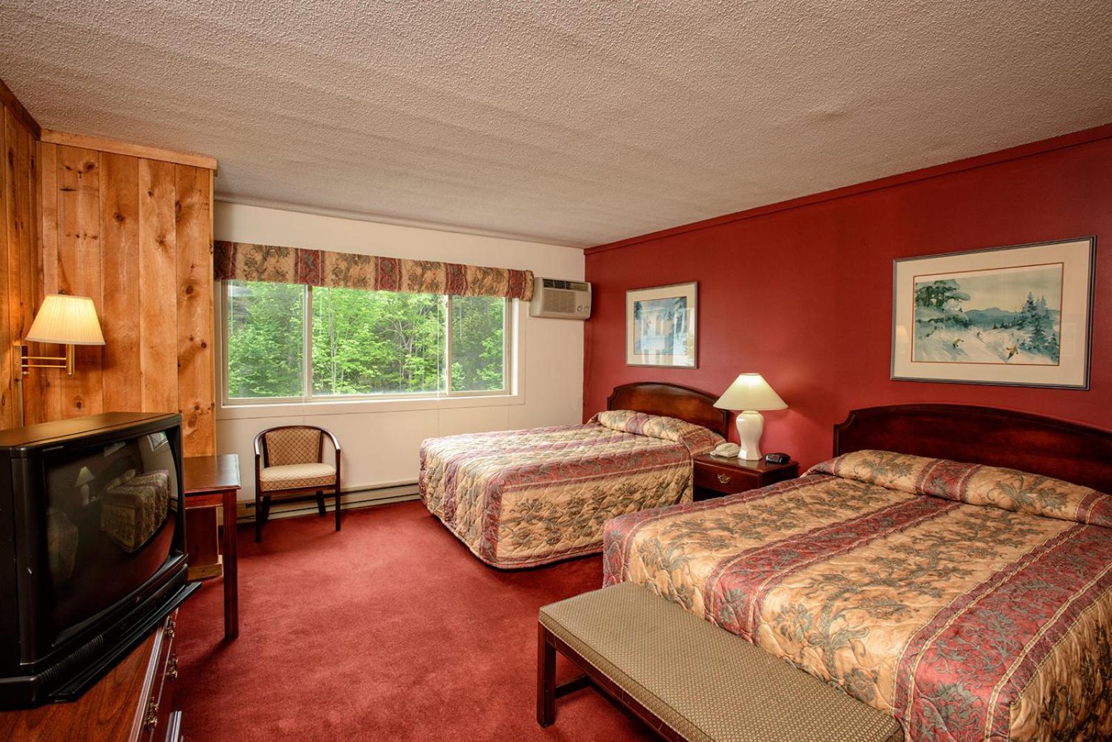 Modern Premium Room