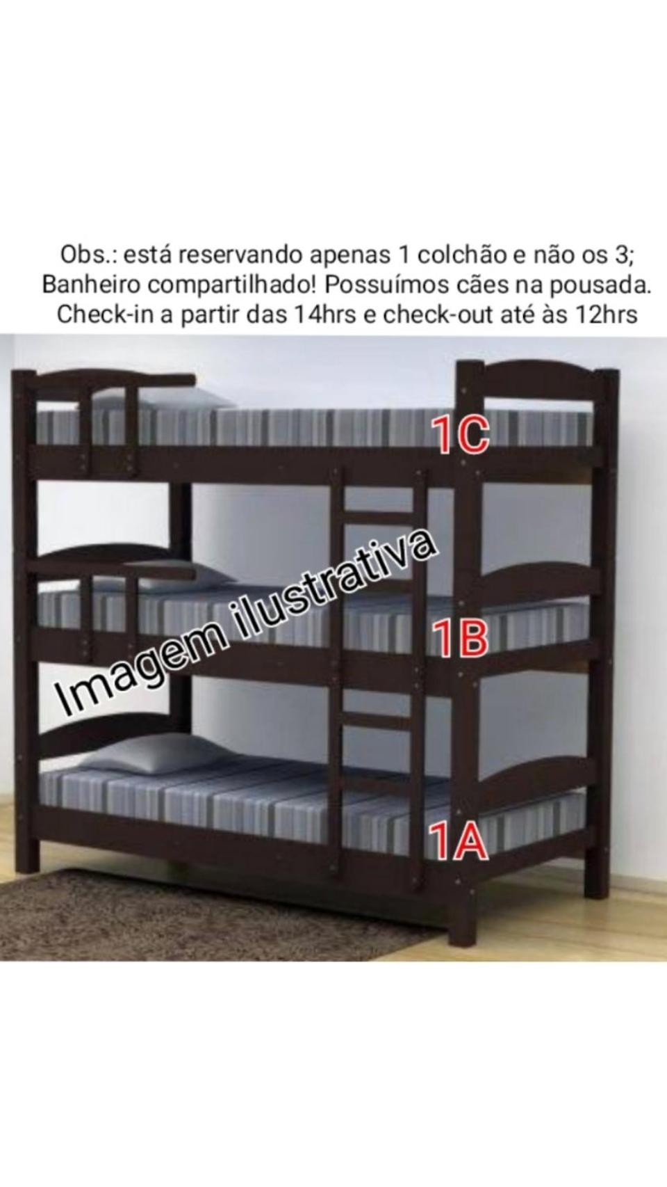 Bunk Bed in Mixed Dormitory Room