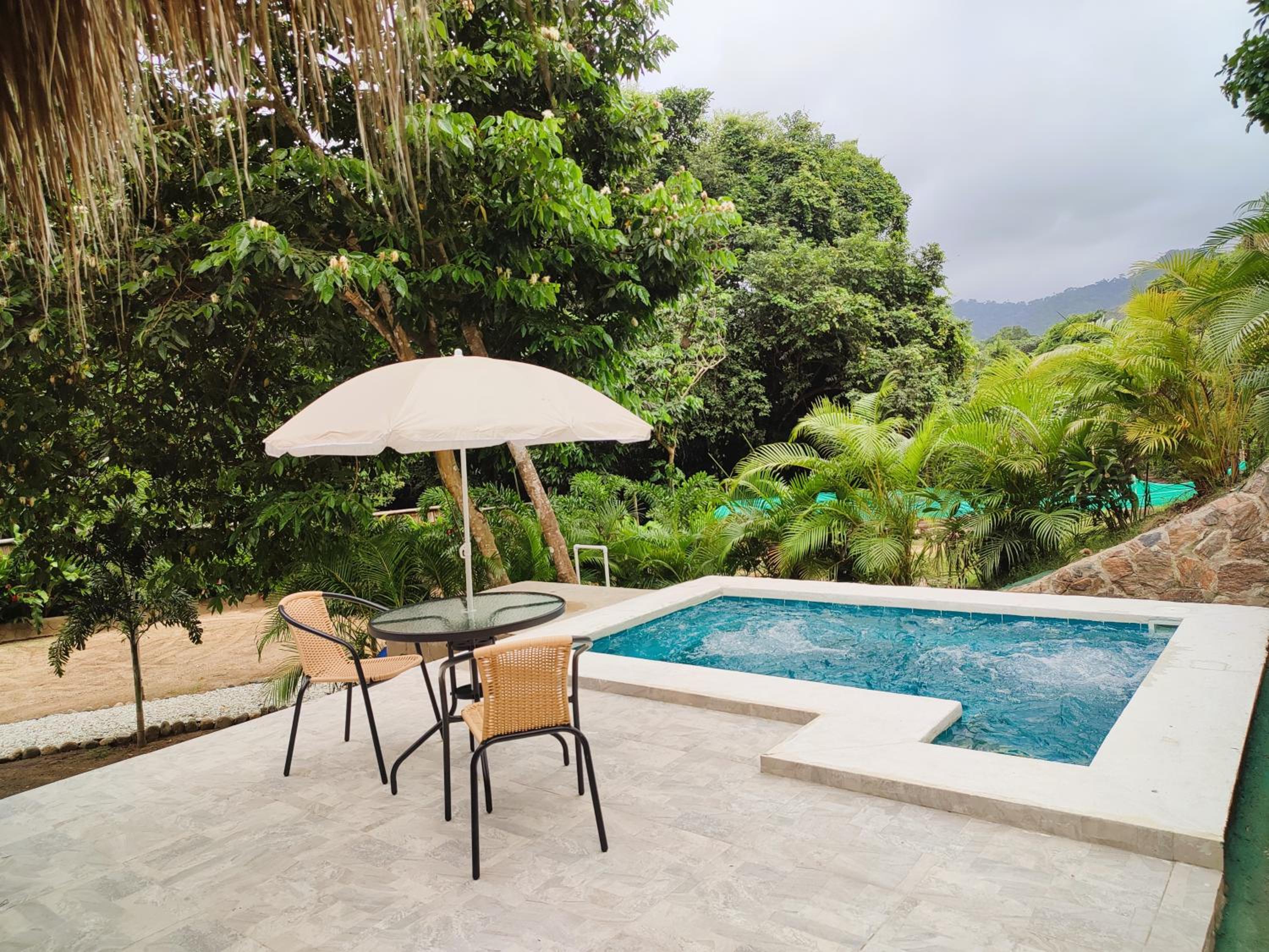 Queen Room with Pool View photo 2