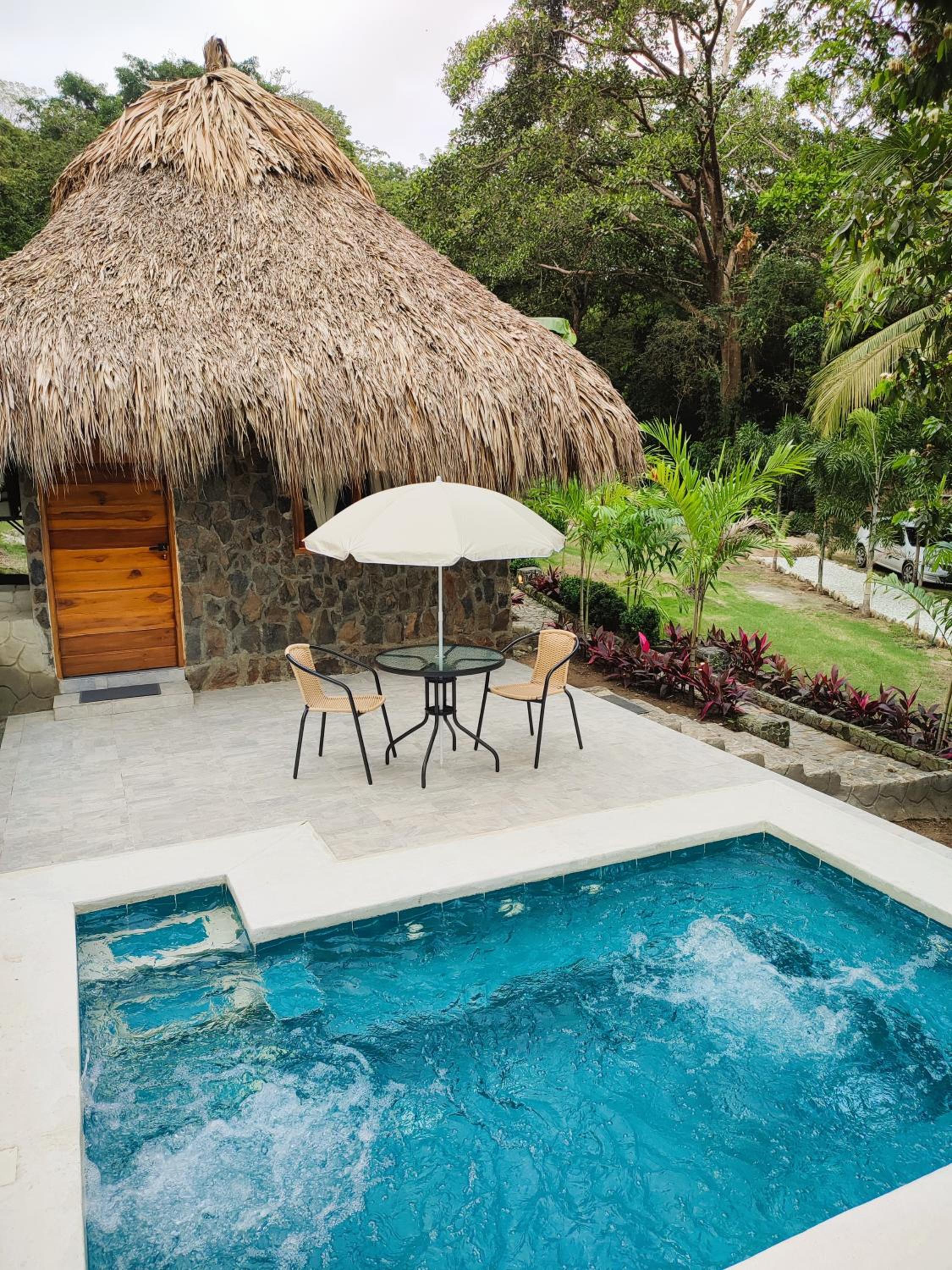 Queen Room with Pool View photo 1