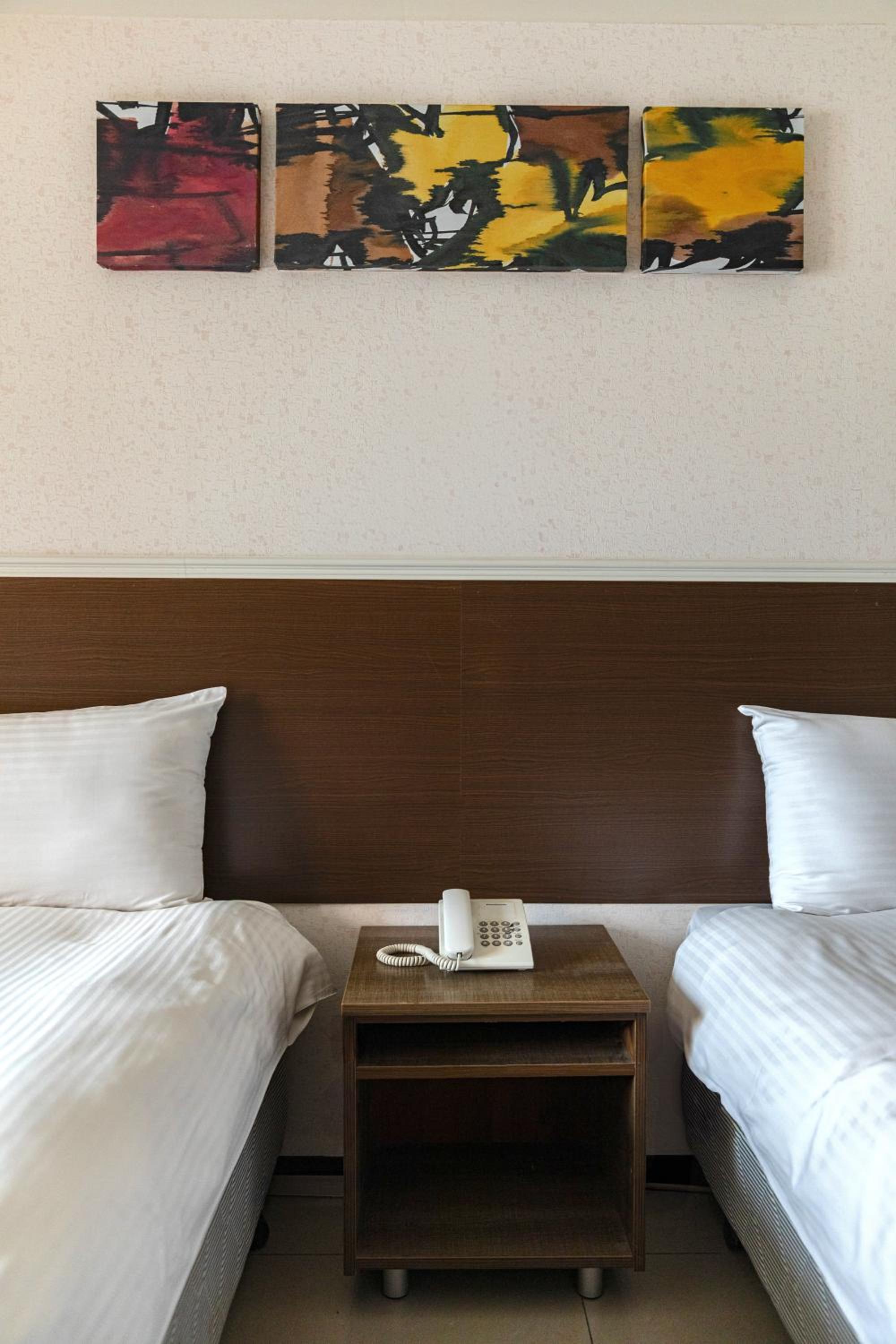 Deluxe Twin Room photo 1