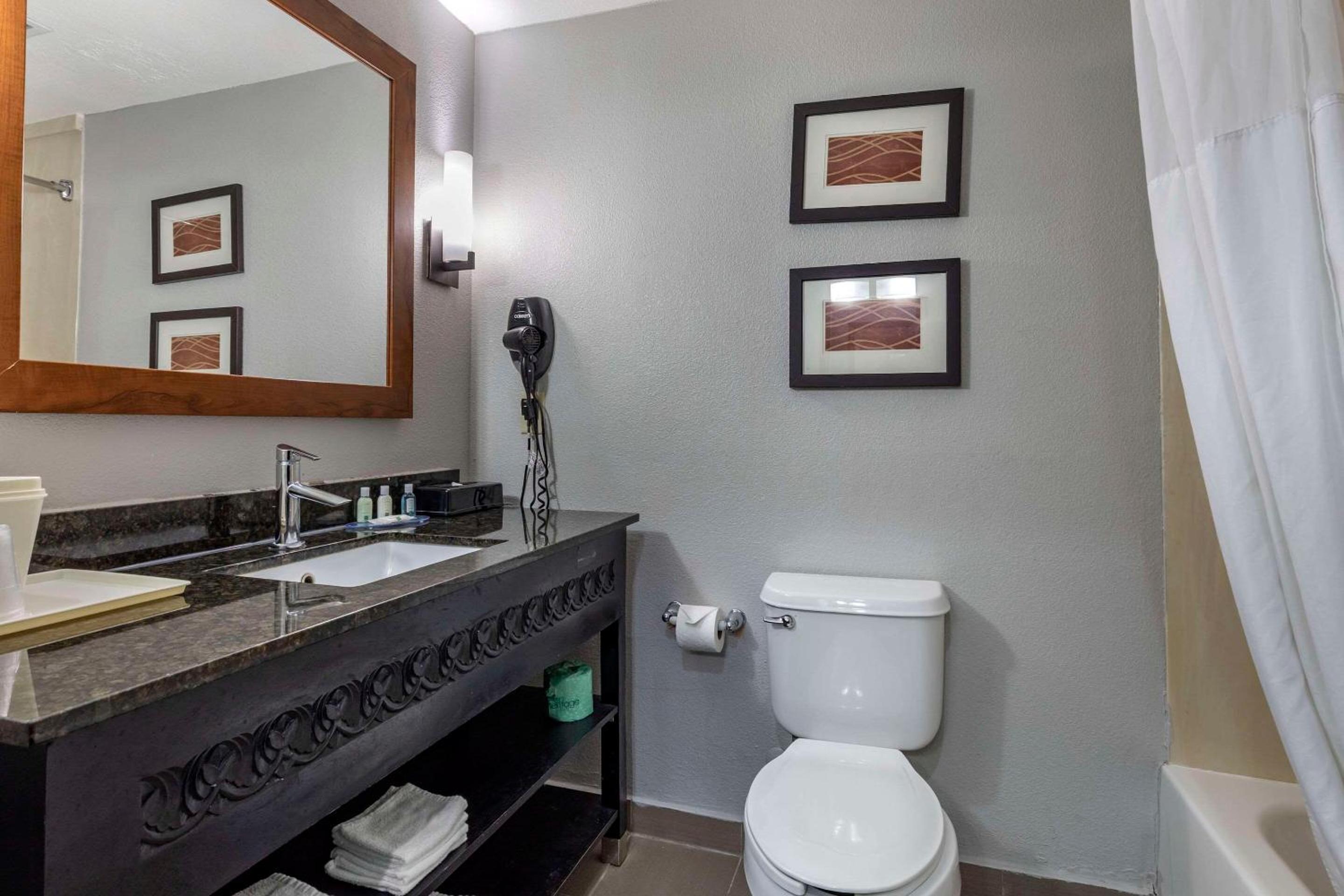 Large King Suite - Non Smoking - Photo 1