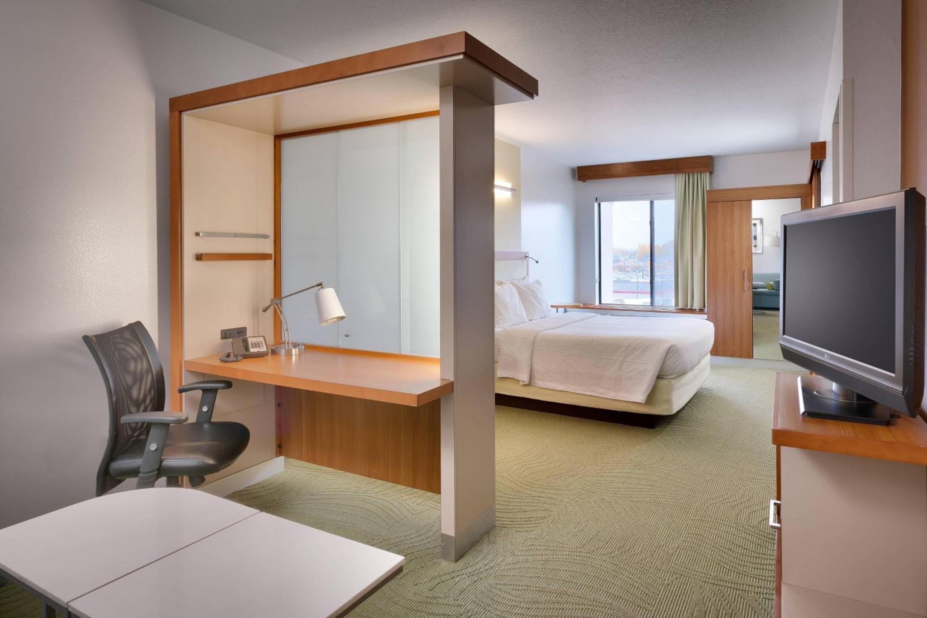 One-Bedroom King Suite with Sofa Bed and Trundle Sofa - Photo 4