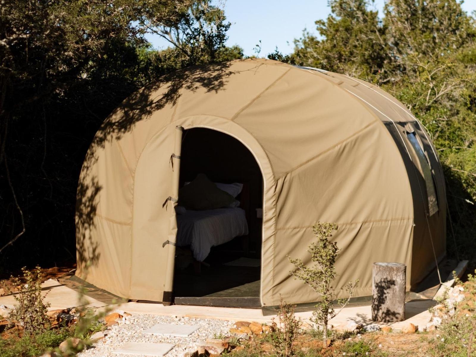 Classic Tent photo 3