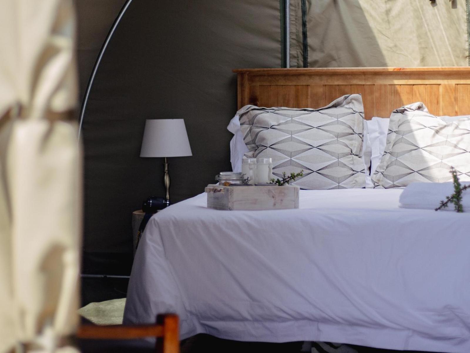 Classic Tent photo 2