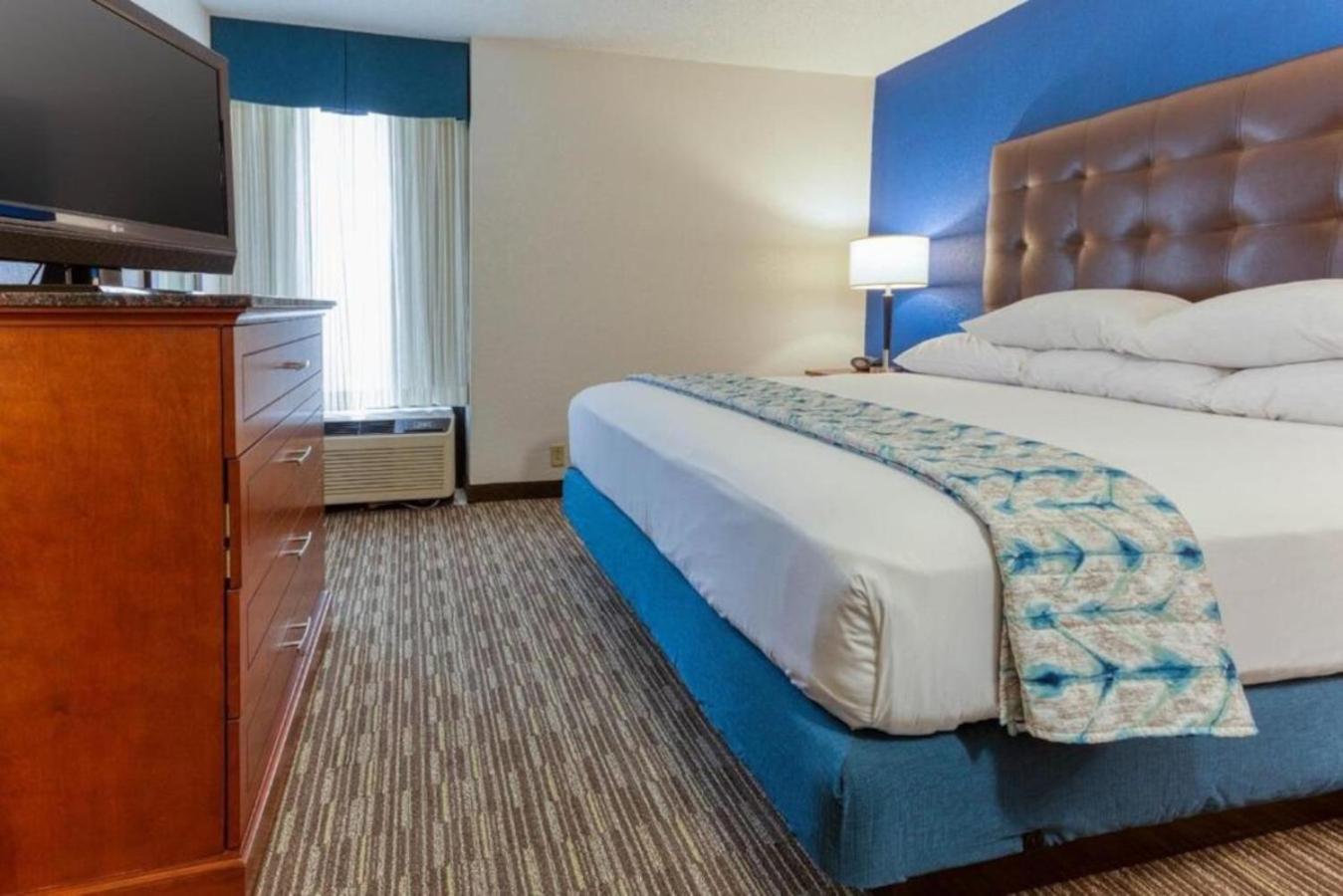 One-Bedroom King Suite - Non-Smoking - Photo 1