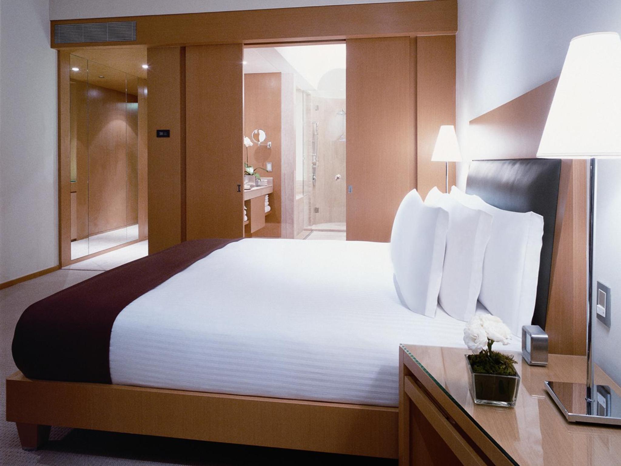 King Room - Club Access - Photo 9
