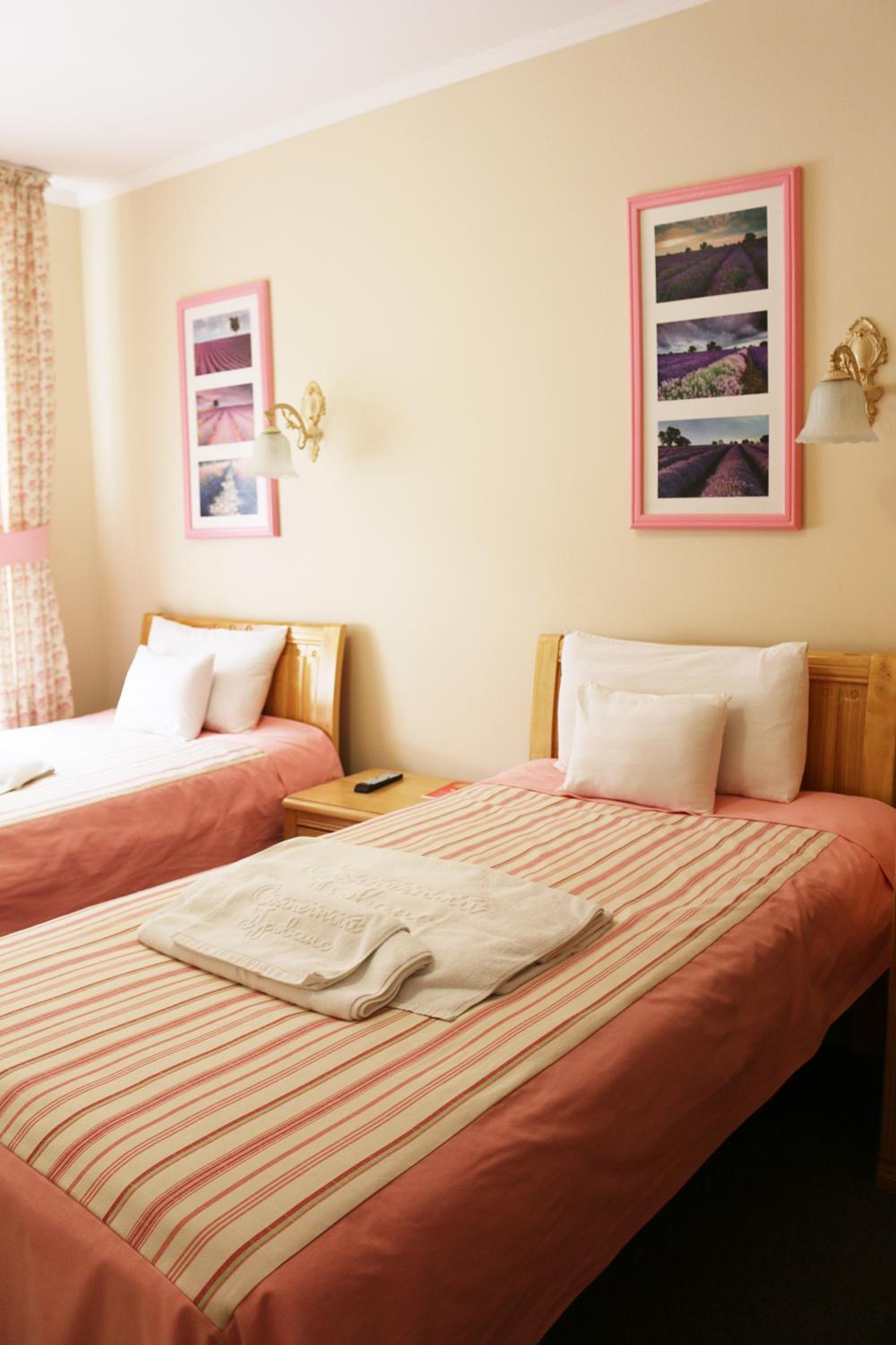 Twin Room photo 3