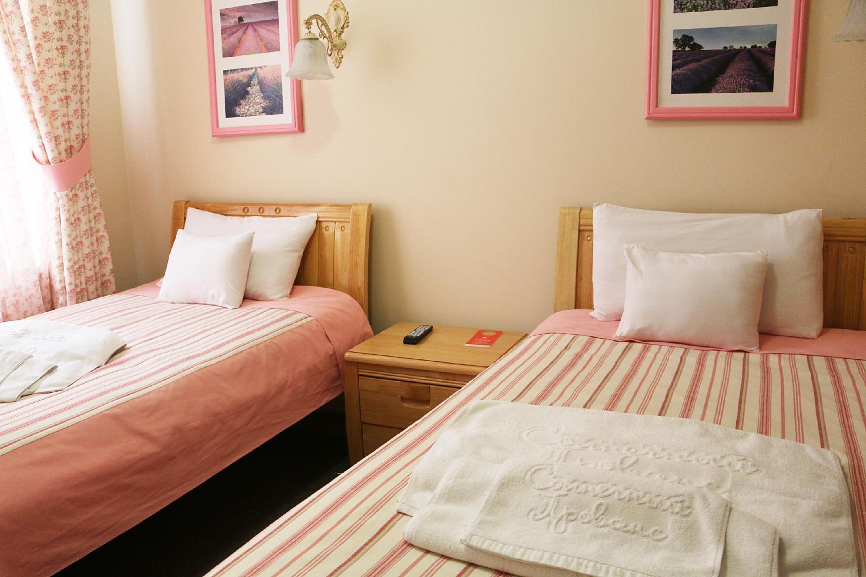 Twin Room photo 2