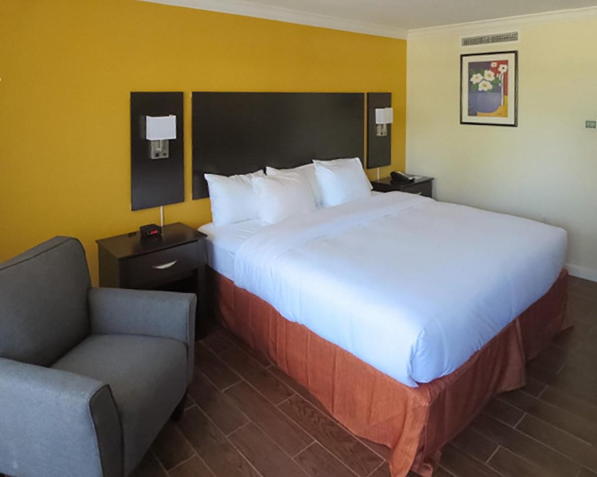 King Room photo 2
