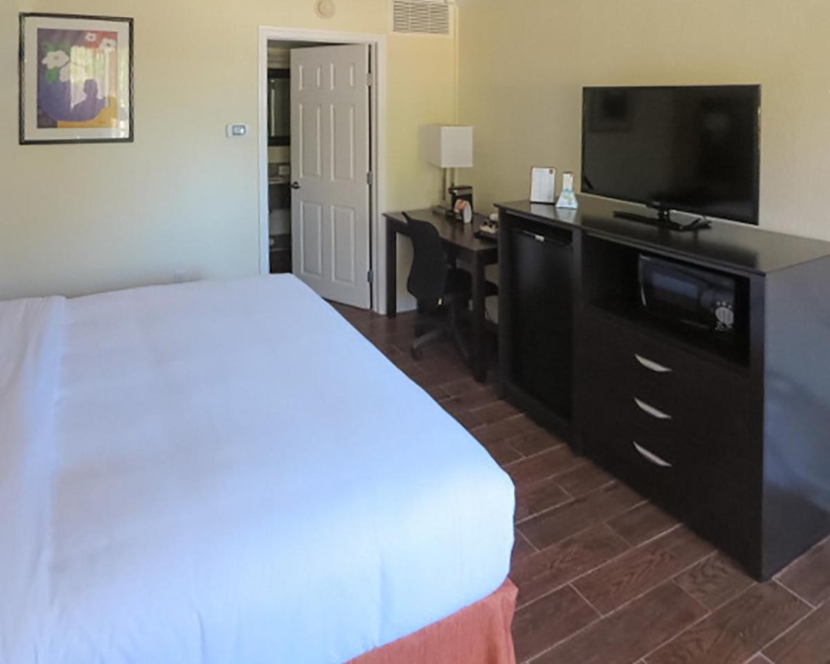 King Room photo 1