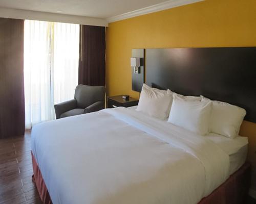 King Room photo 3