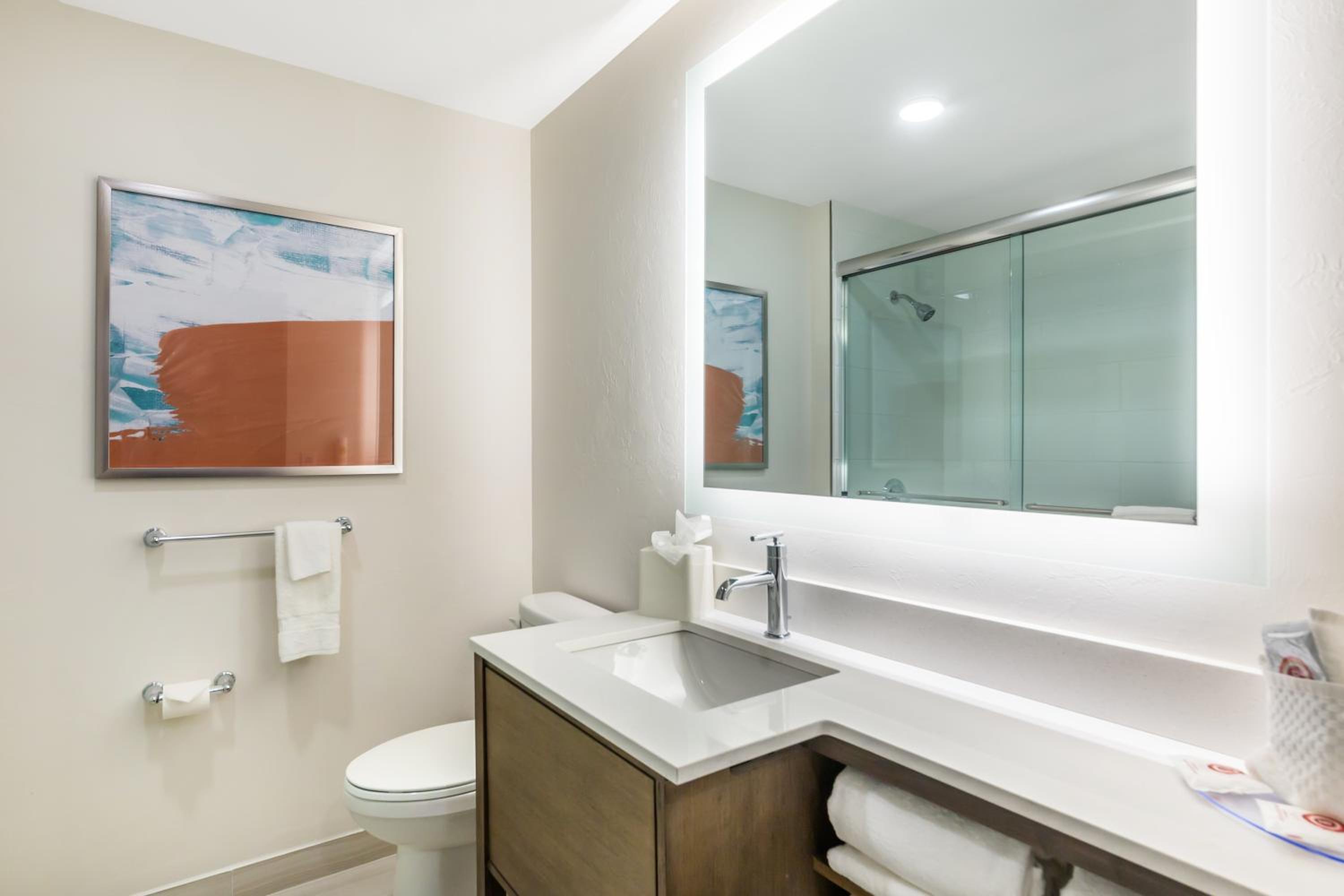 One Room King Suite with Sofa bed - Non Smoking
