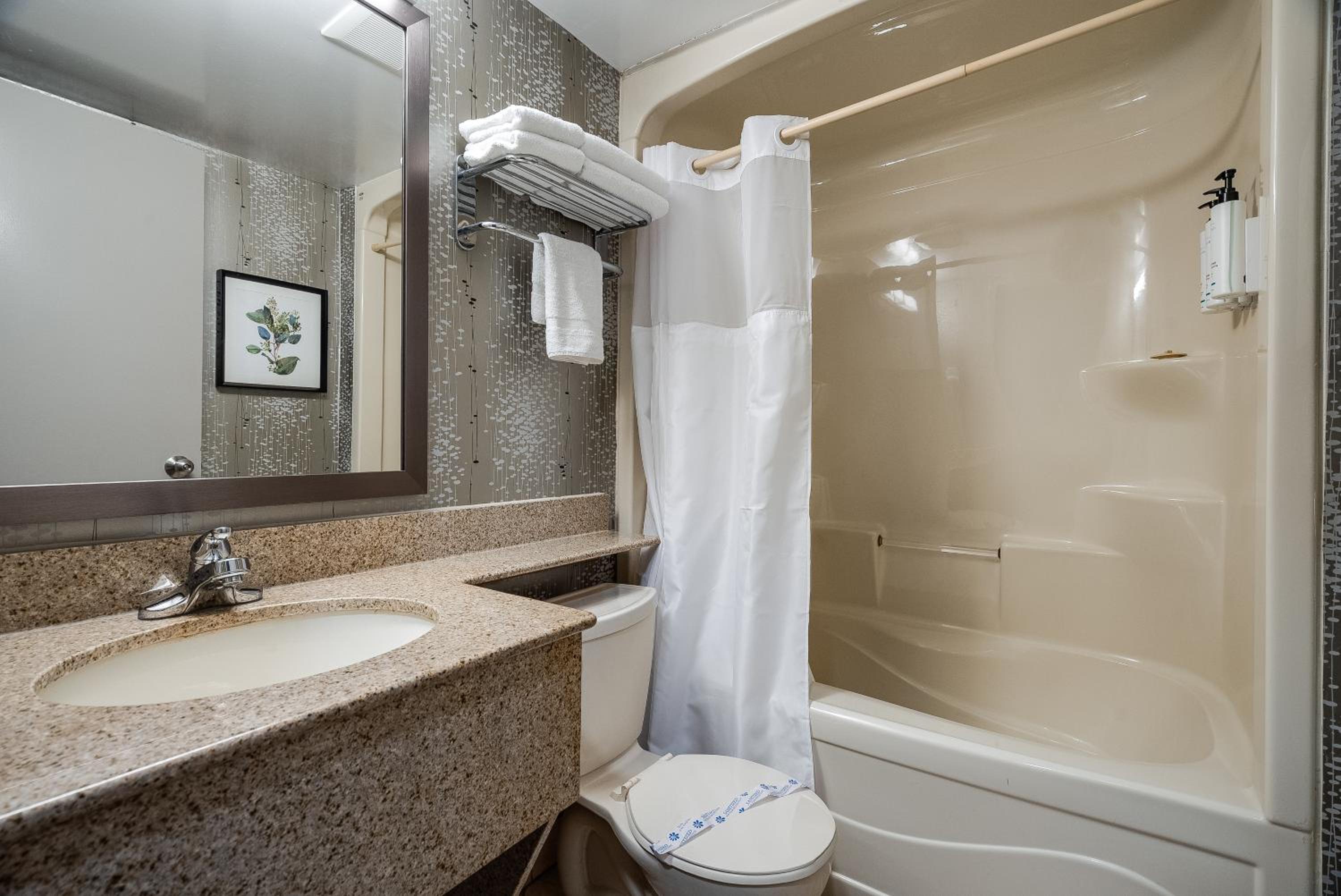 Deluxe Queen Suite