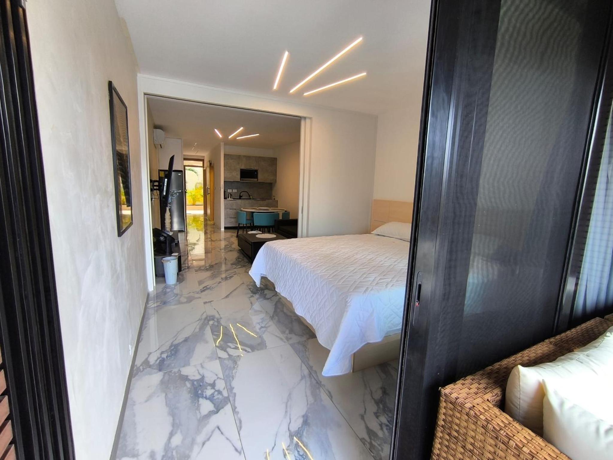 Deluxe One-Bedroom Apartment