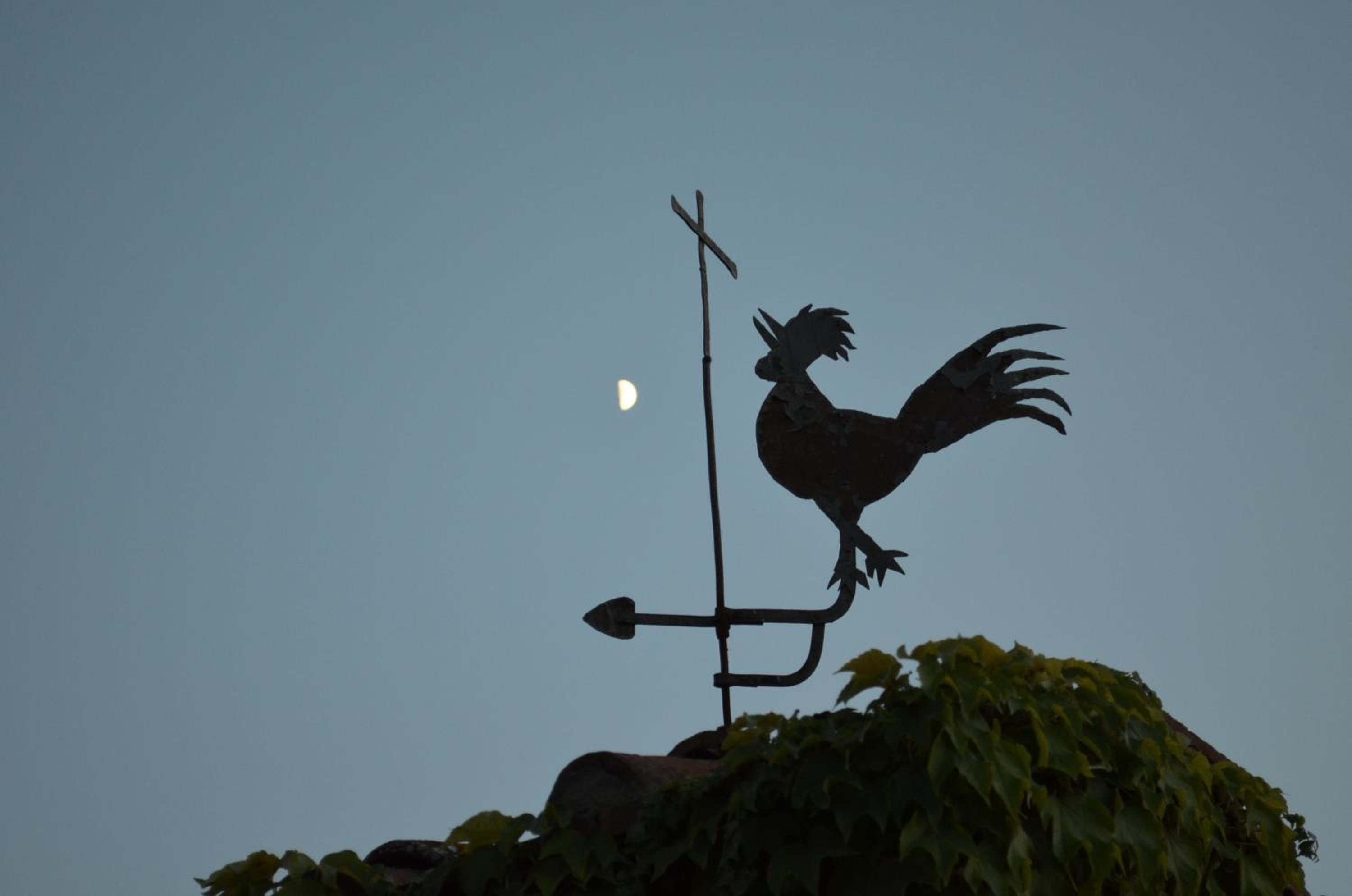 Fazenda Casa Ercole, Fotografia 5