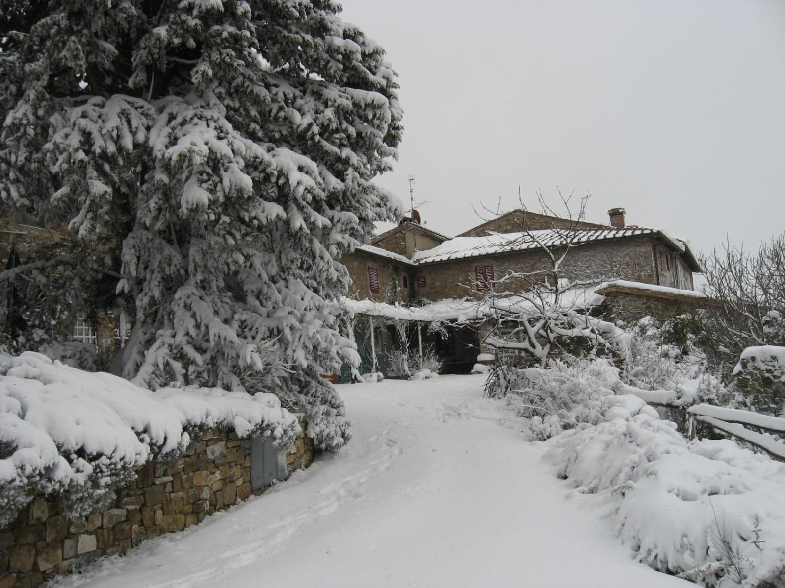 Fazenda Casa Ercole, Fotografia 12