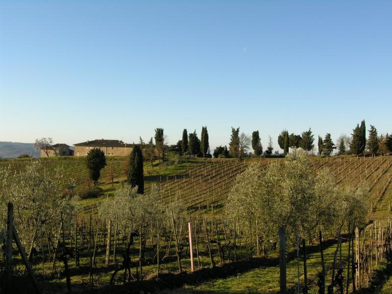 Fazenda Casa Ercole, Fotografia 17