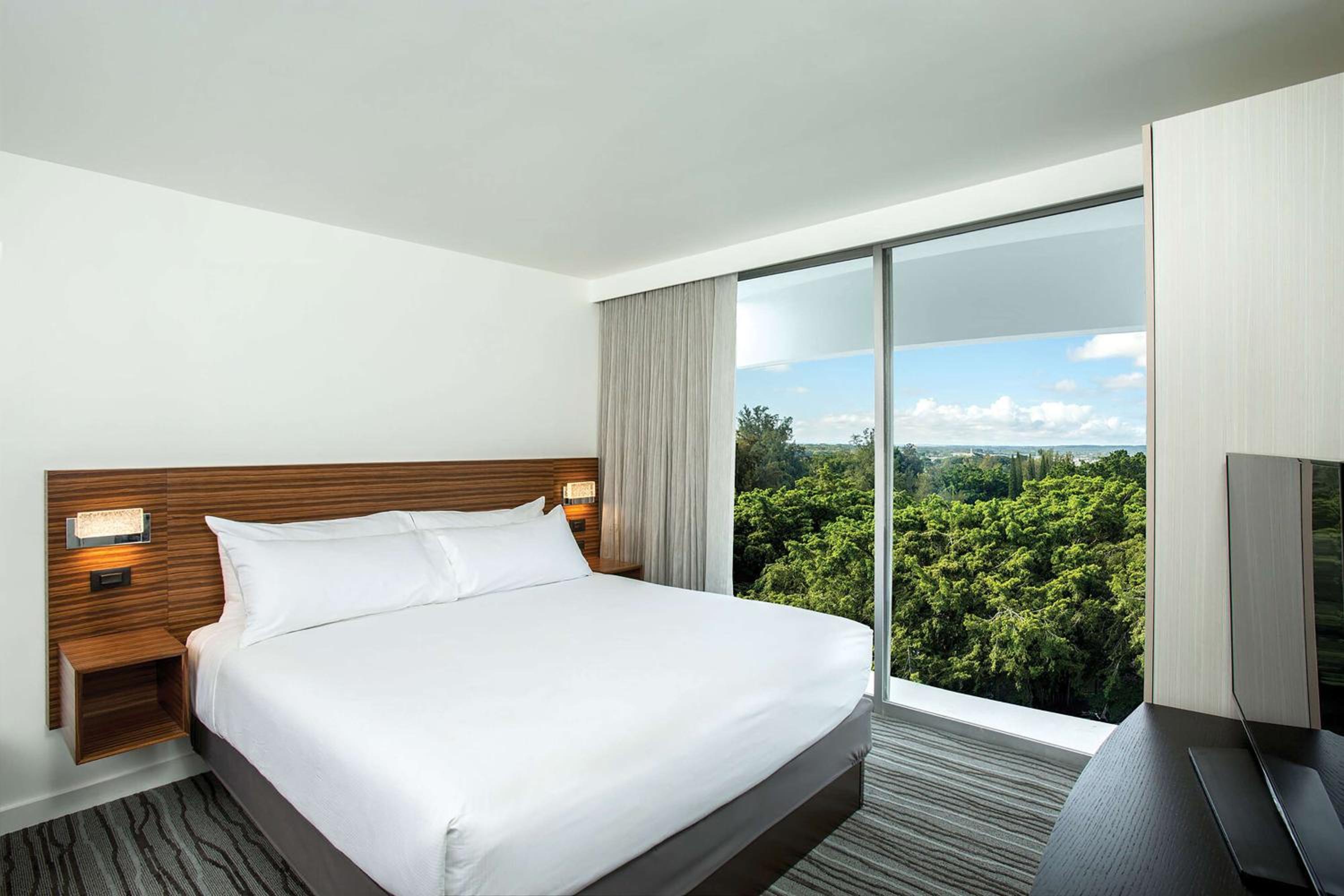 One-Bedroom King Suite - Photo 3