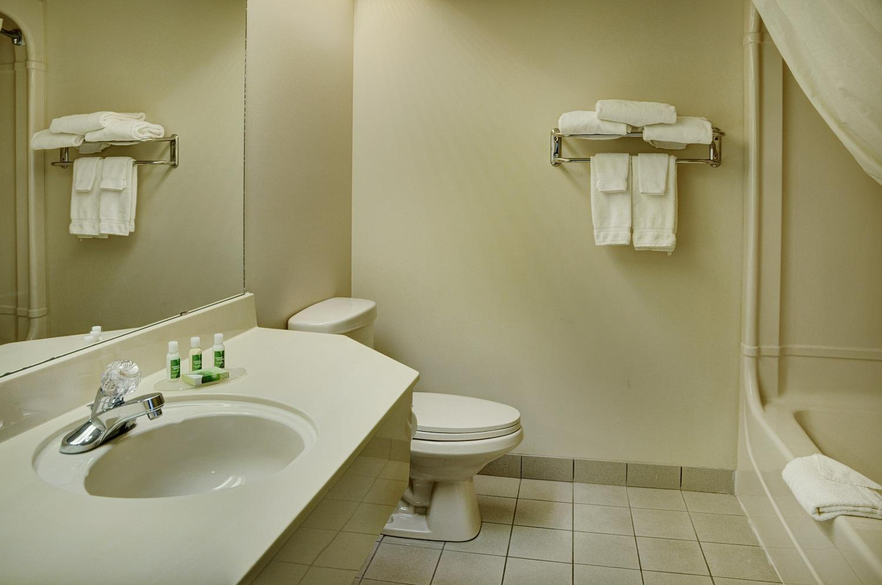 One-Bedroom Suite photo 2